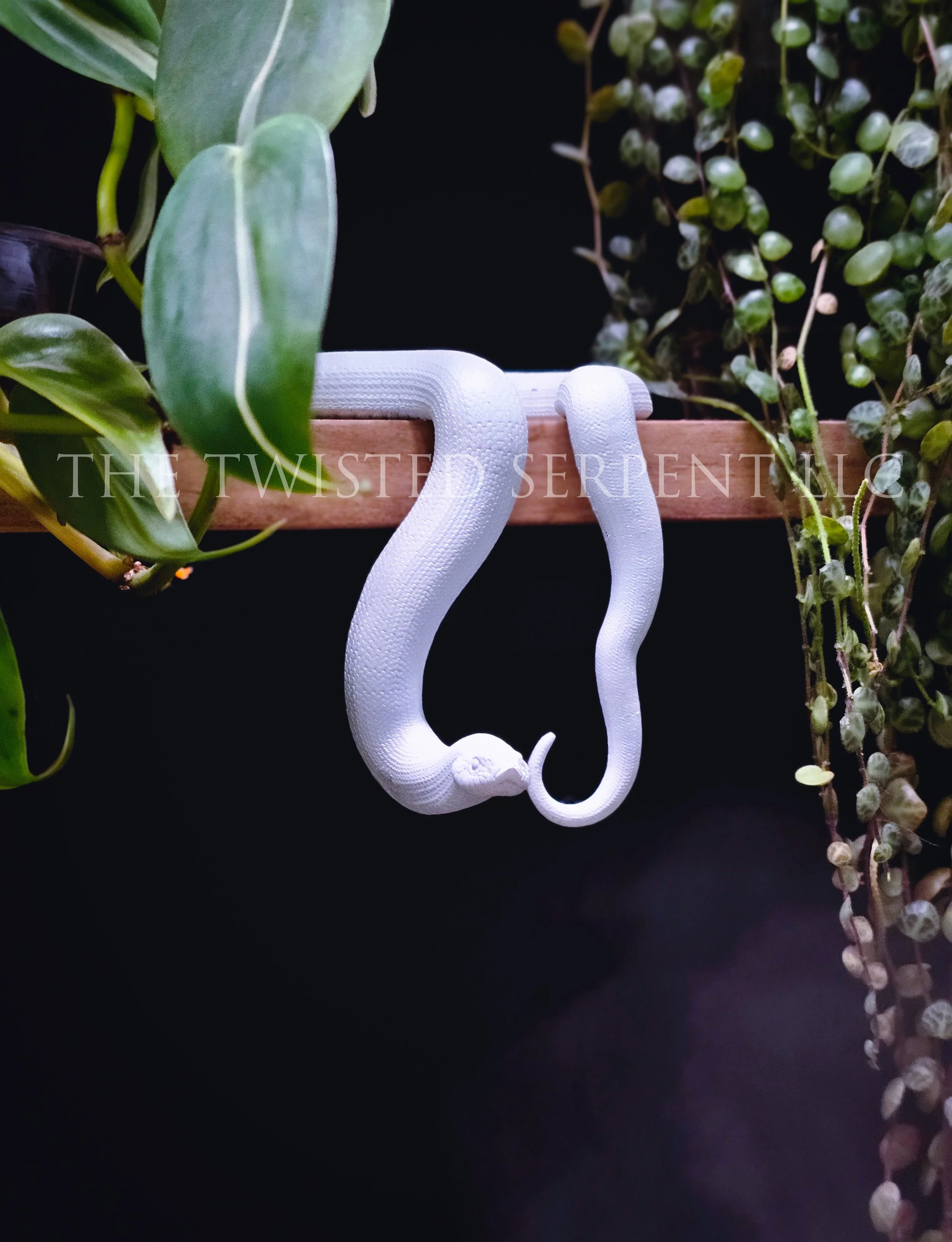 Paint-It-Yourself Hognose Shelf Sitter
