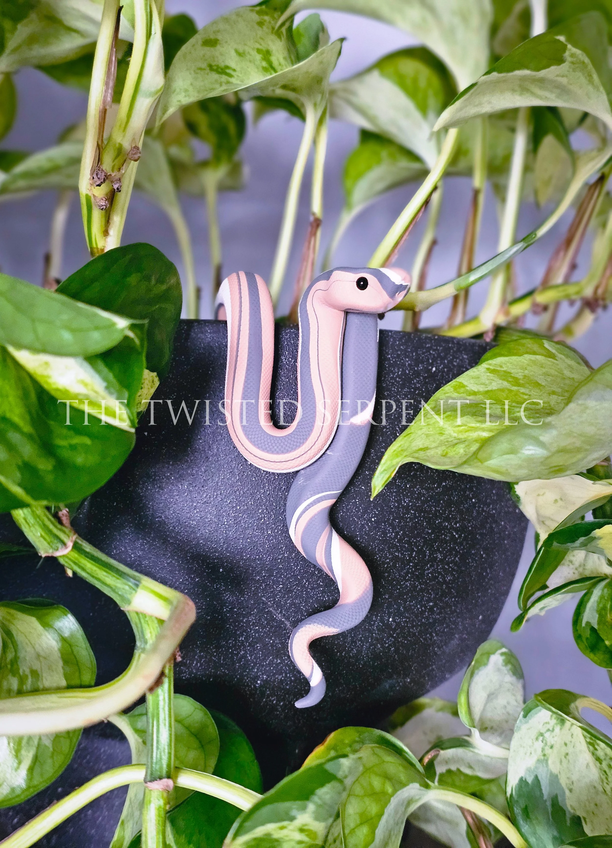 Driftwood  - NEW RELEASE