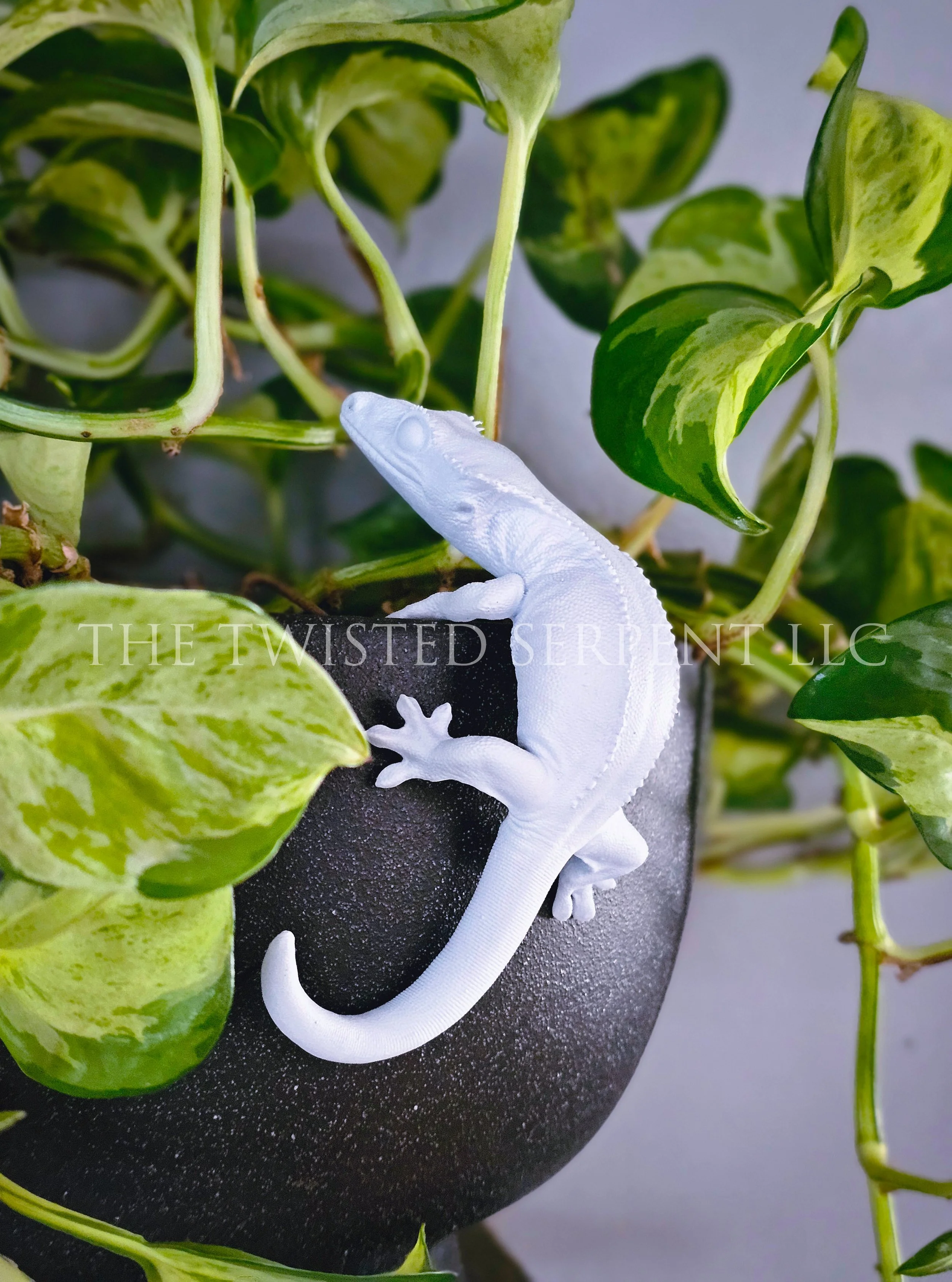 Paint-It-Yourself Crested Gecko