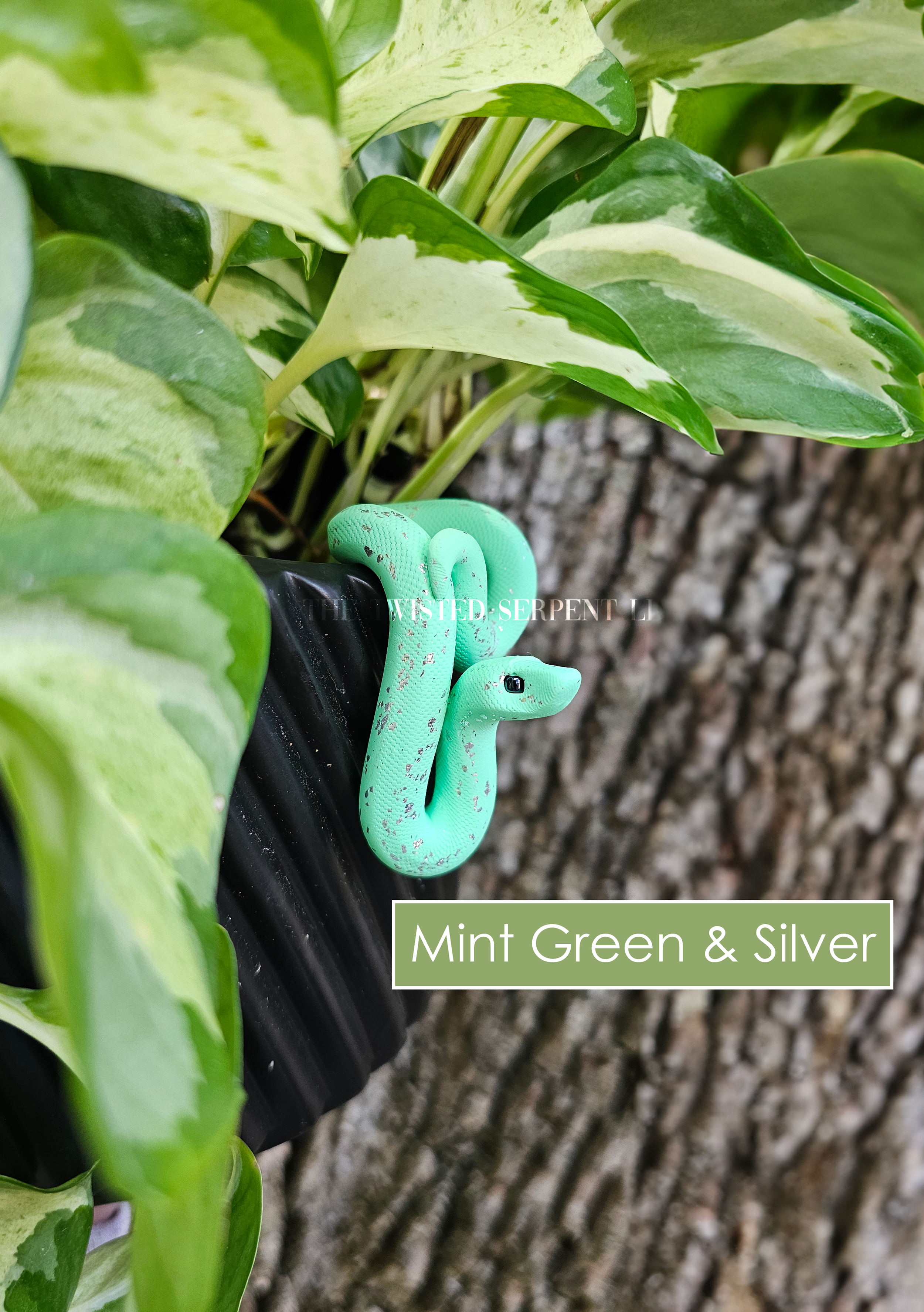 Mint Green & Silver.png