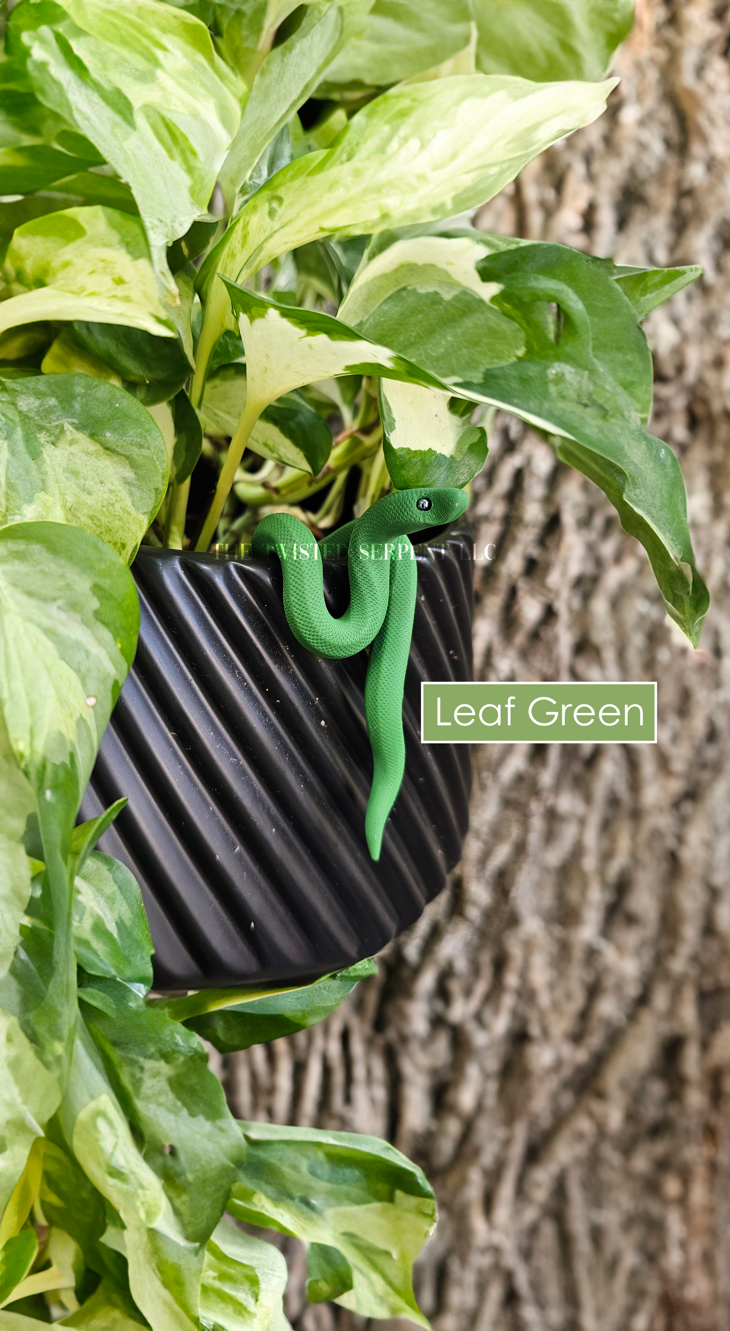 Leaf Green.png