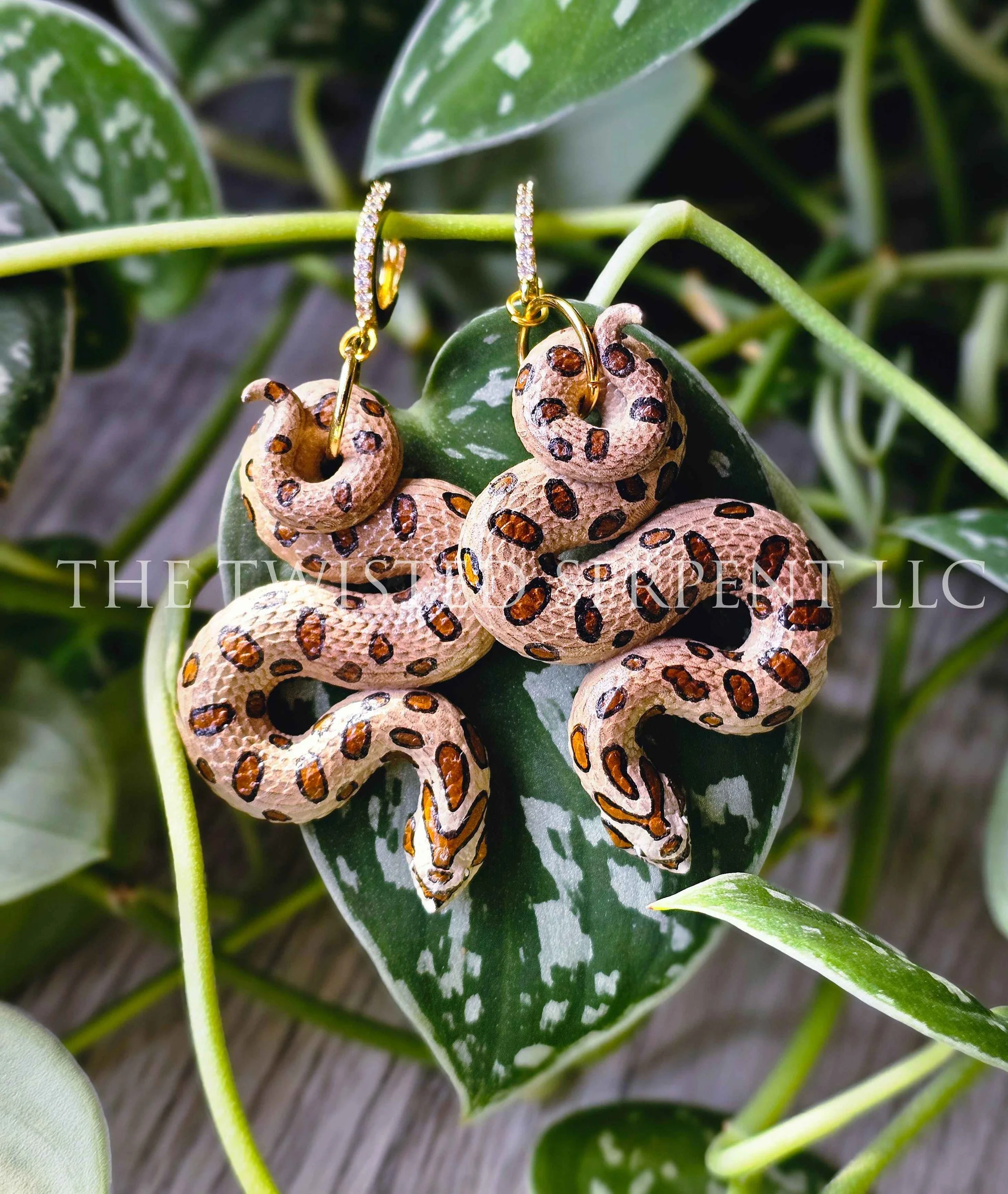 Hognose Earrings
