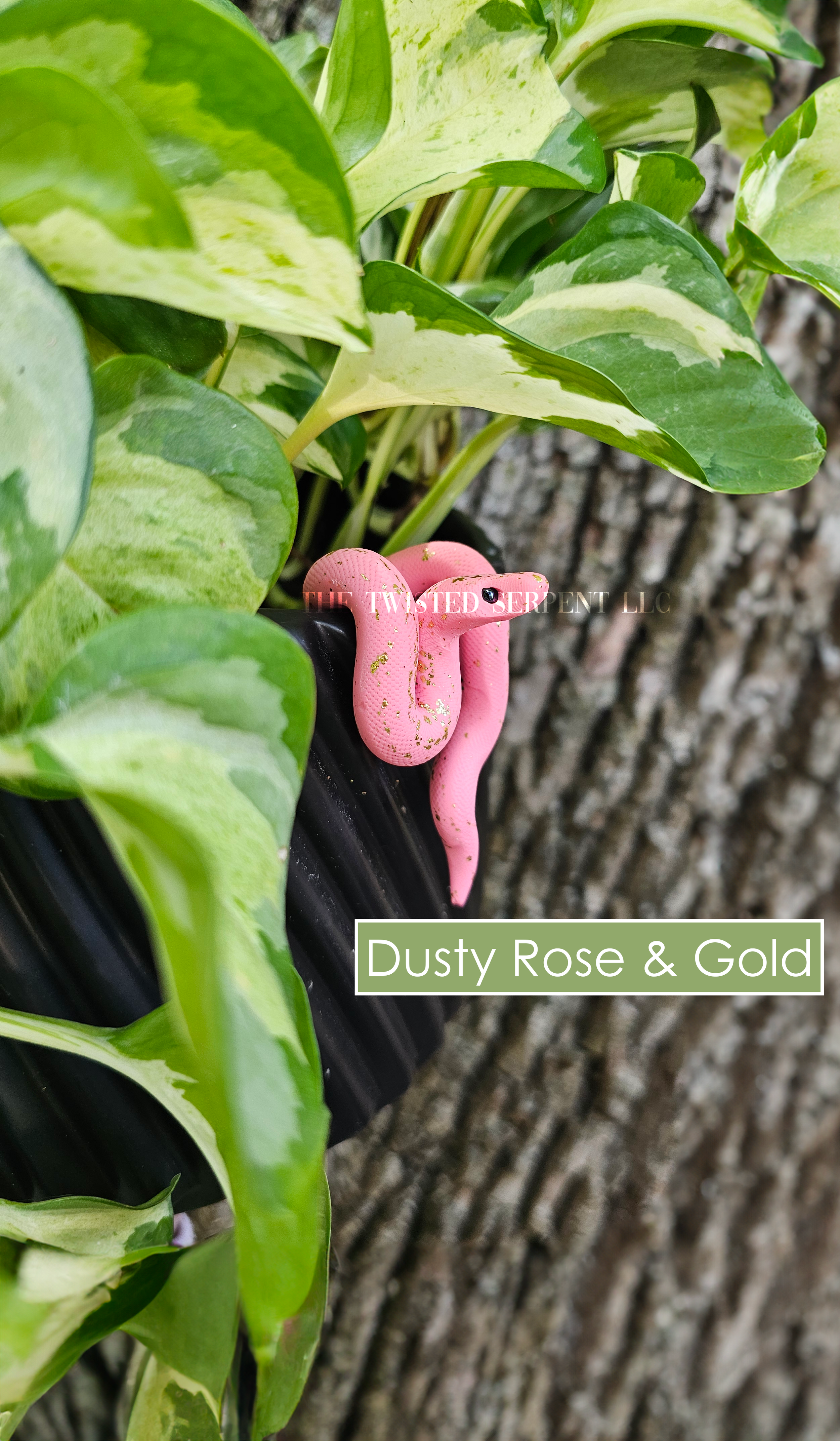 Dusty Rose & Gold.png