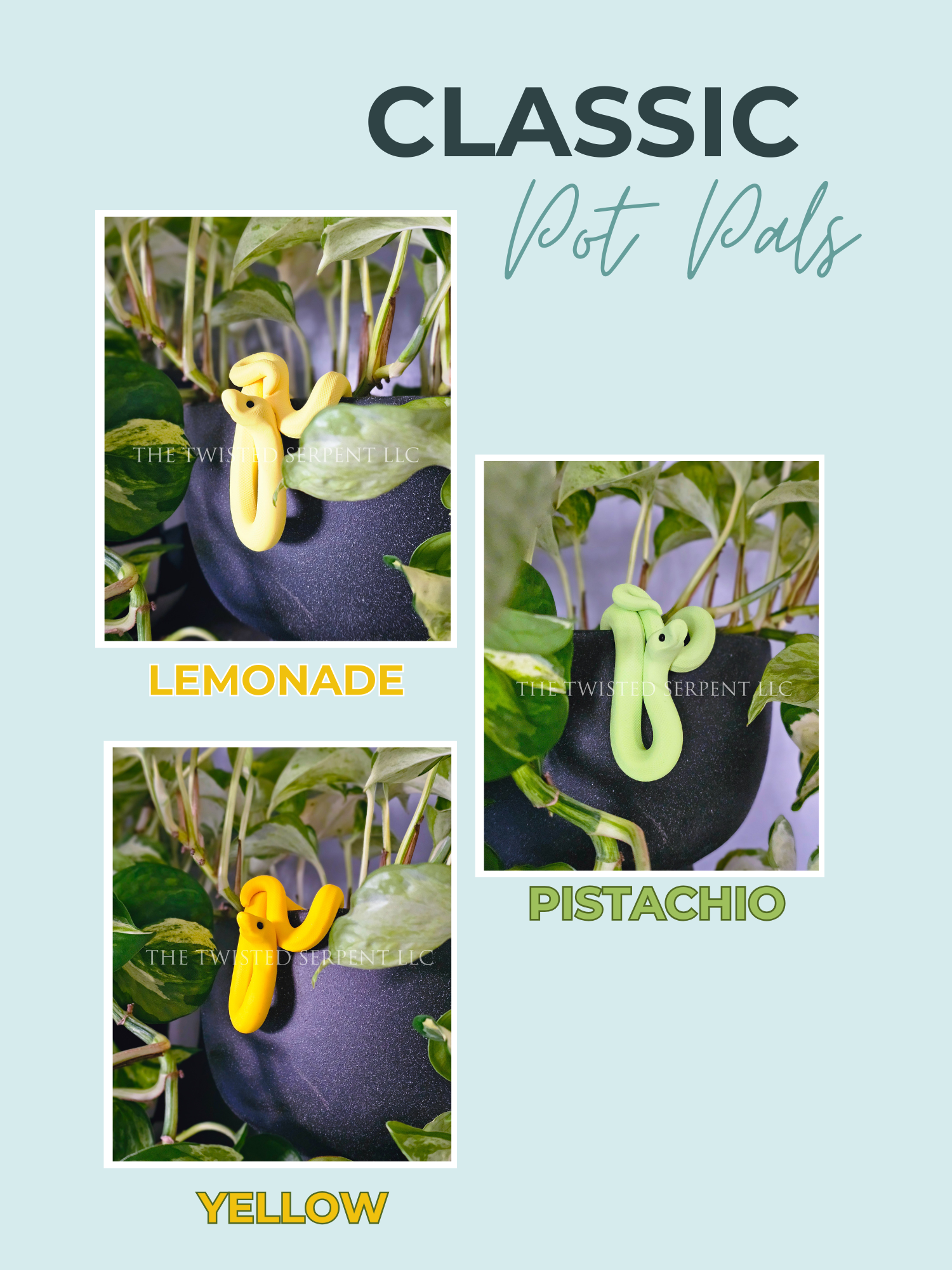 Classics Website (4).png