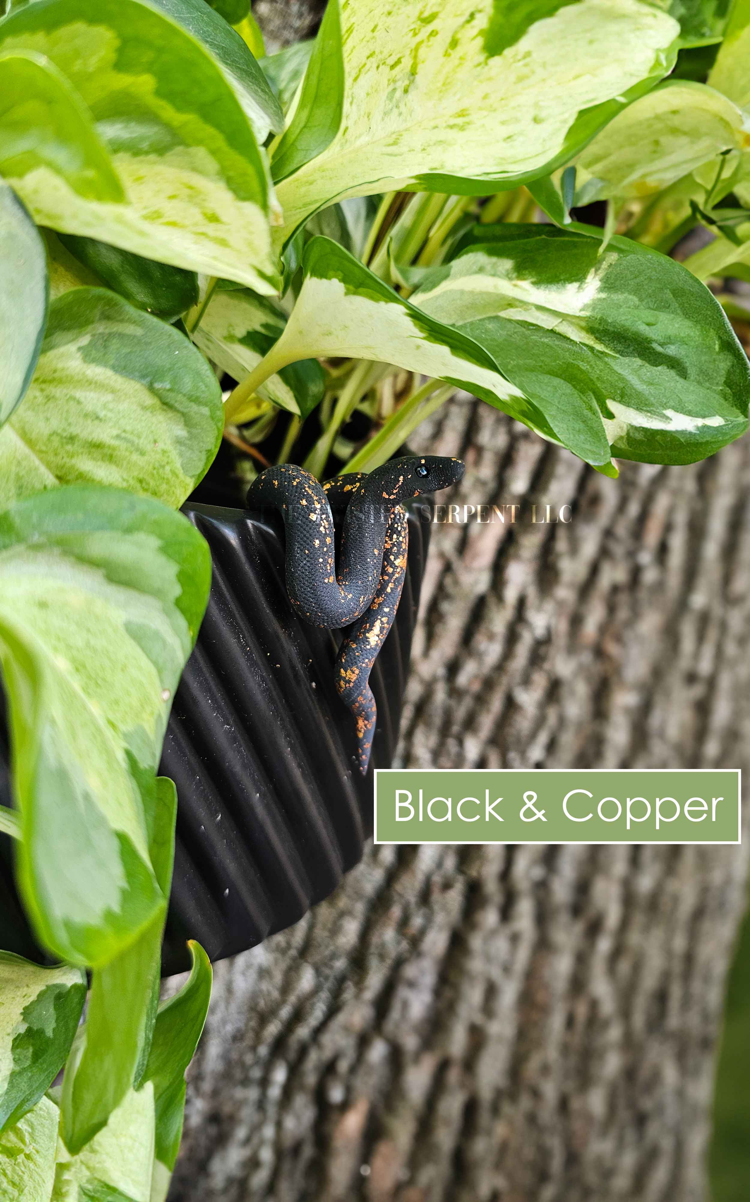 Black & Copper.png