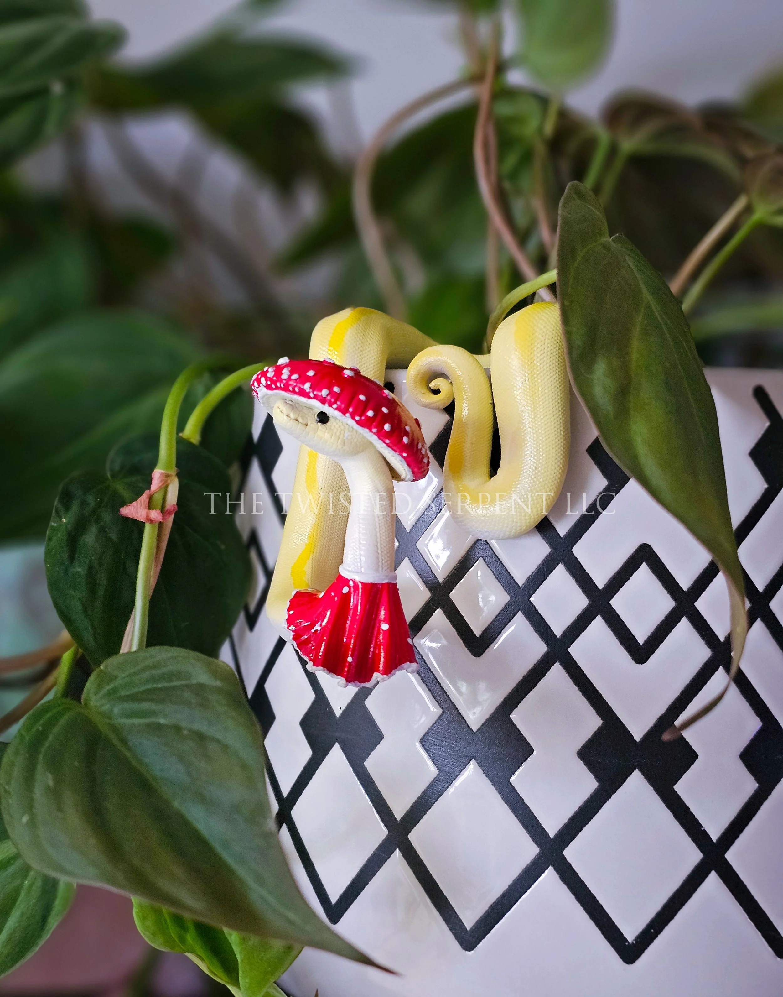 Mushie Mate (11).jpg