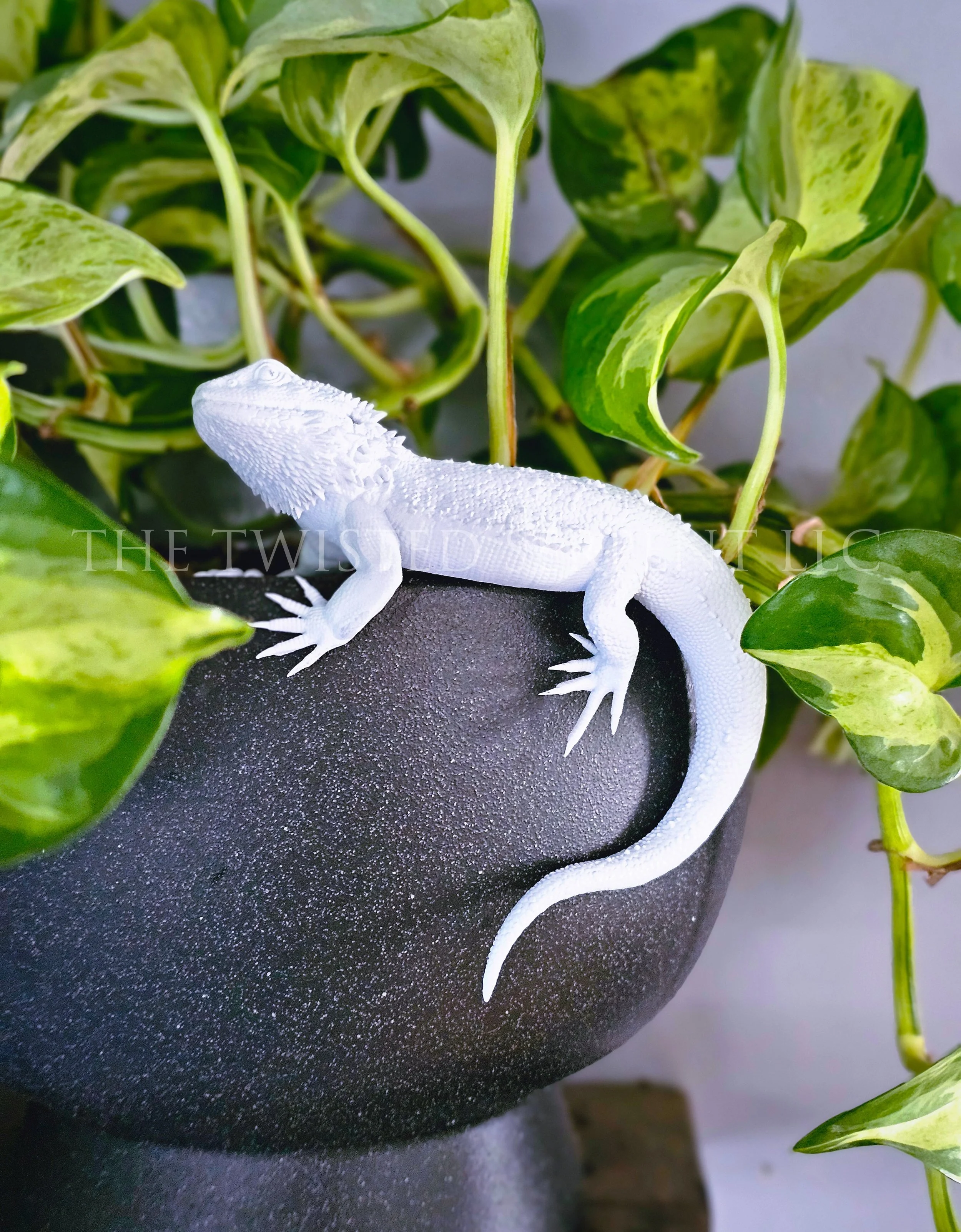 Paint-It-Yourself Bearded Dragon