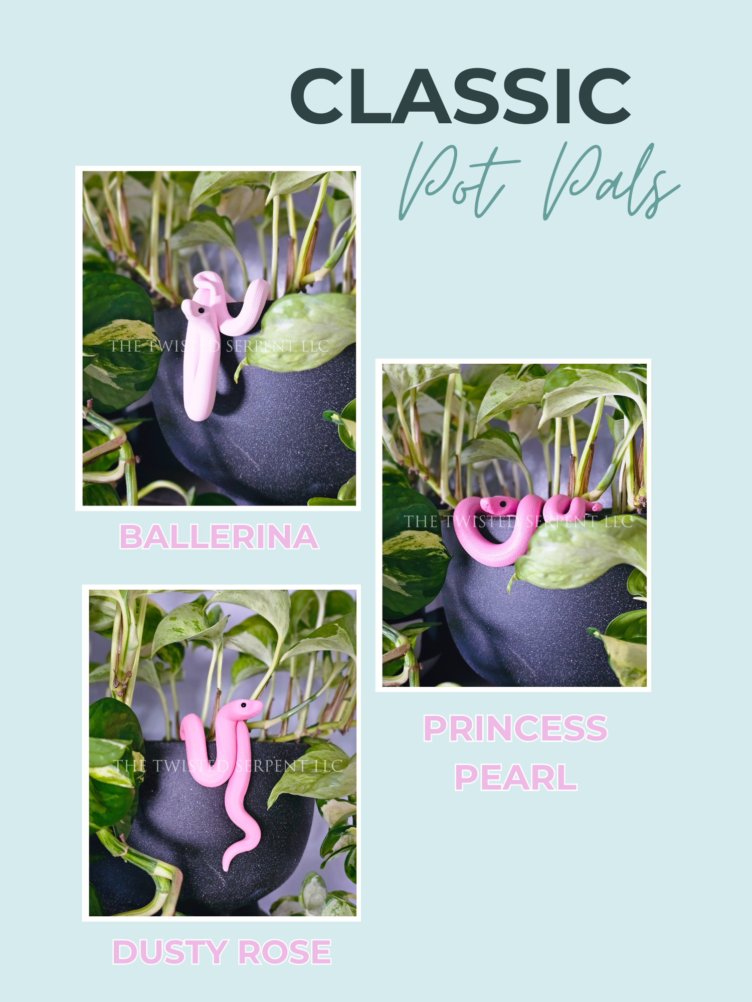 Classics Website (5).png