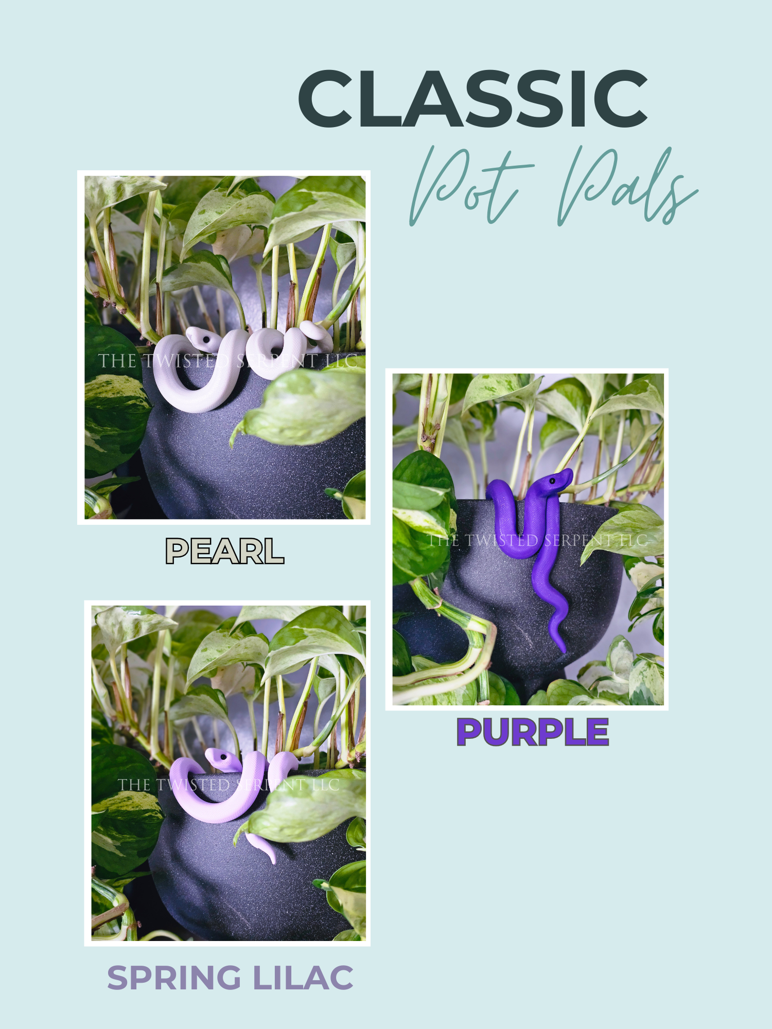 Classics Website (6).png