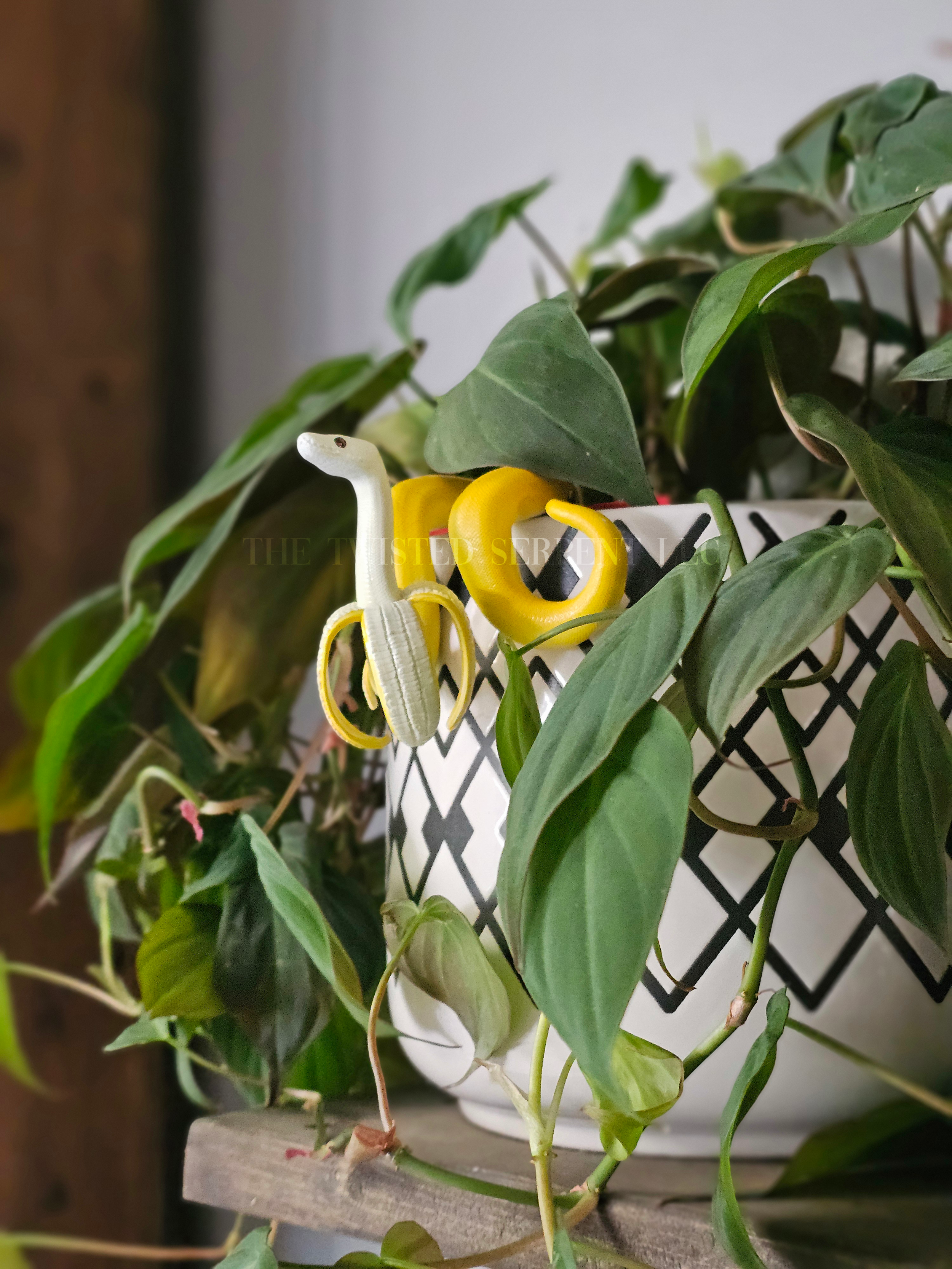 'Nanner Noodles