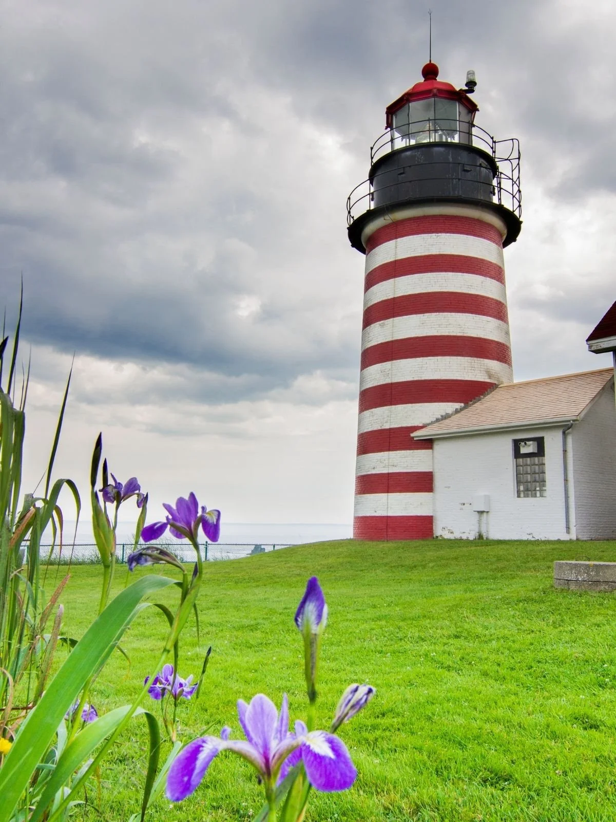 Things to do in Lubec, Maine — Seal House Maine