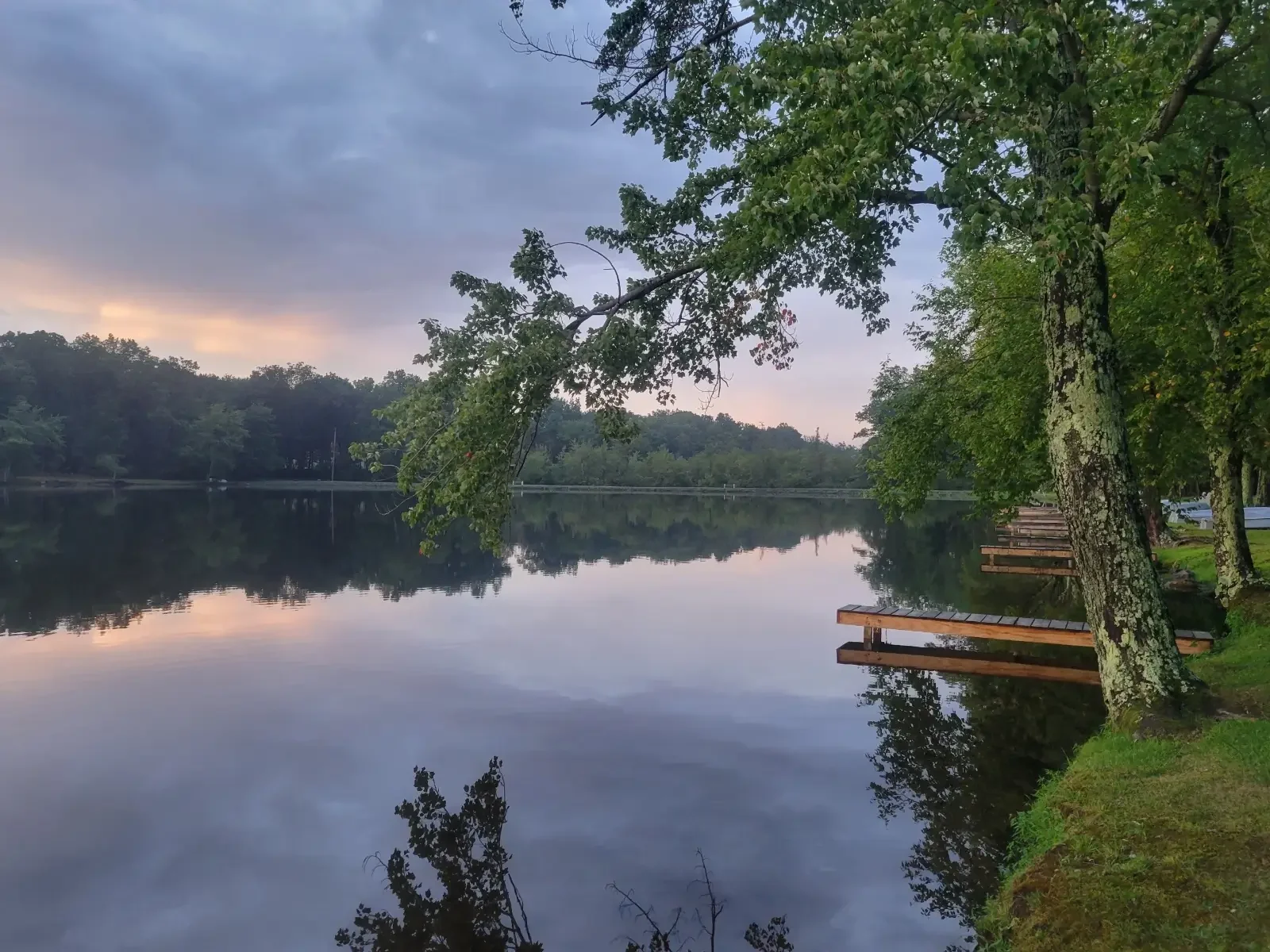 Quiet morning over Mountain Springs Lake surrounded by wooded shoreline
