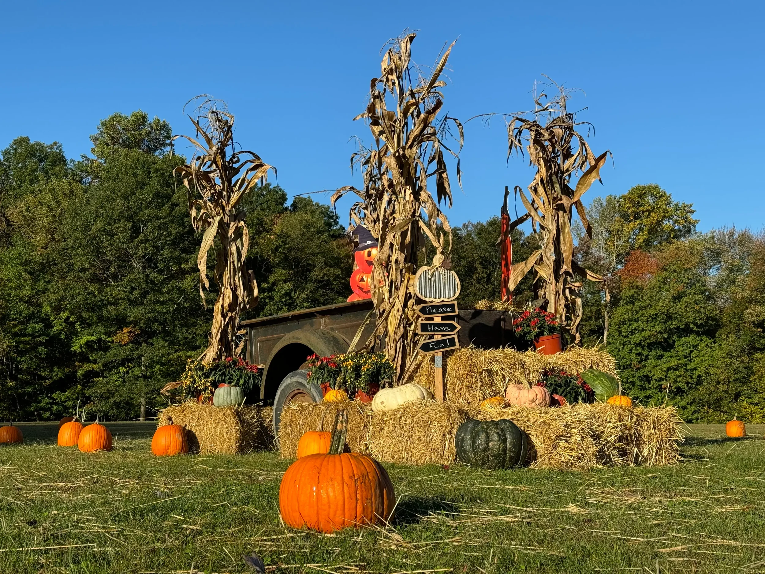 Colorful fall pumpkin display with hay bales and cornstalks at Mountain Springs Lake Resort