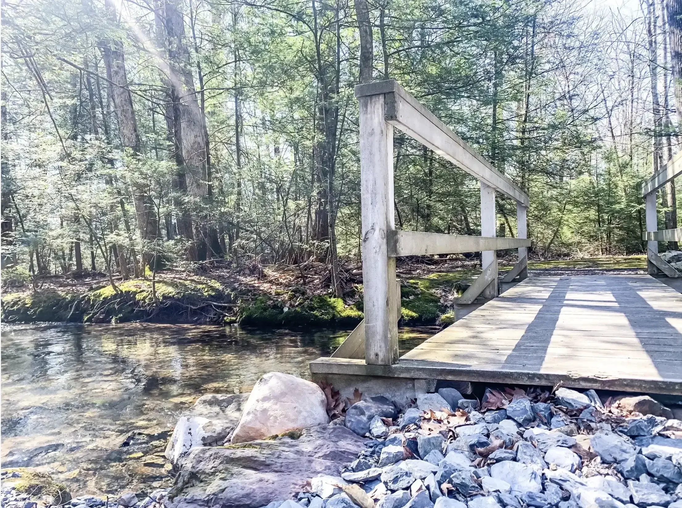 A wooden bridge over a small creek in a forest with tall trees and sunlight filtering through the leaves.