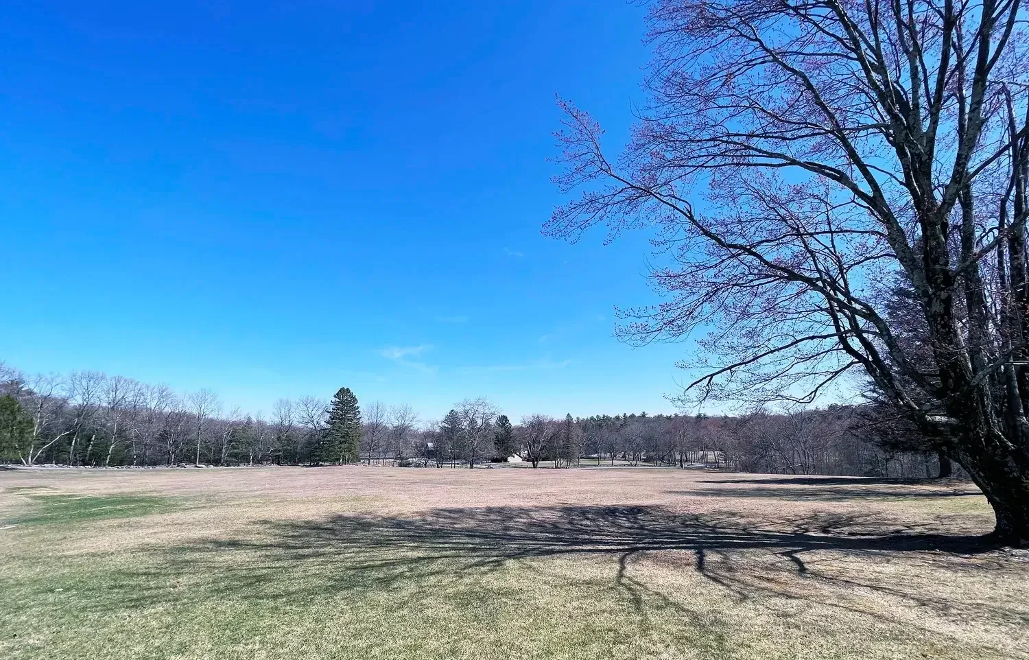 Luxury Hill Suite 10 Field View