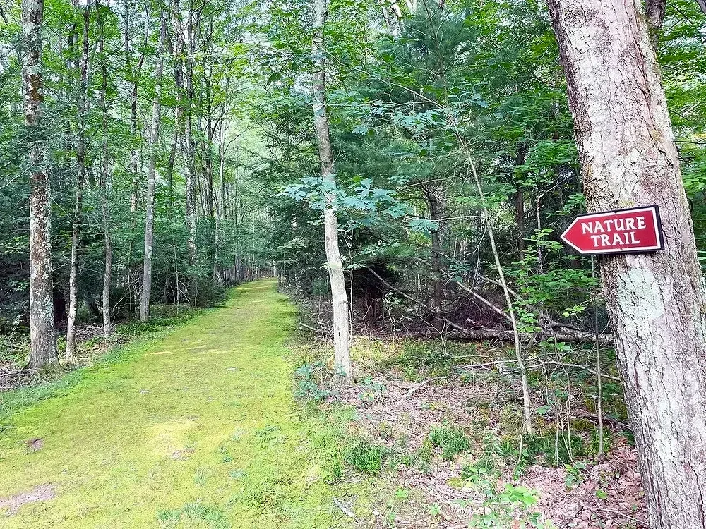 Shaded nature trail surrounded by tall green trees at Mountain Springs Lake Resort