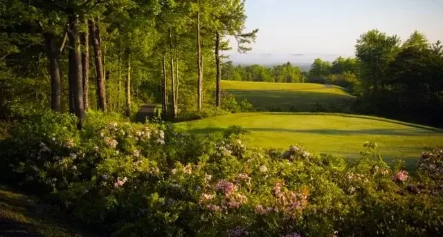 A golf course with lush green grass, surrounded by trees and flowering shrubs under a clear sky.