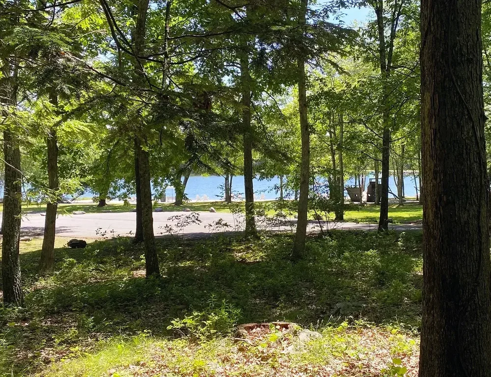 Lakeview Cottage #35 – Lake View