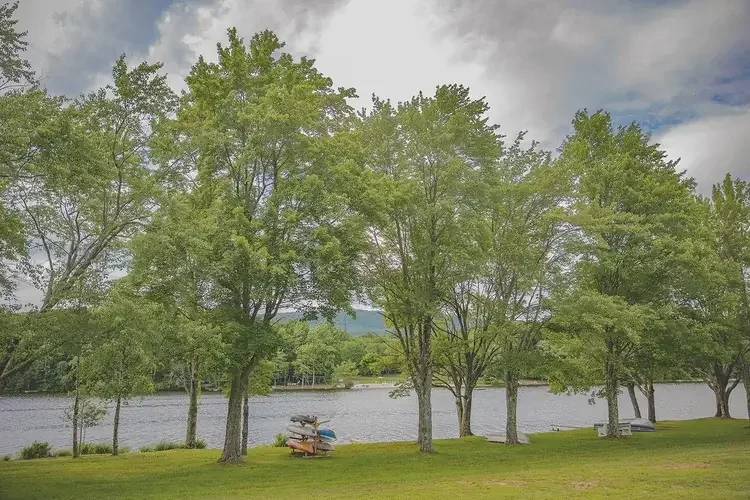 A wide lakeside lawn with a row of leafy trees and stacked kayaks, offering open views of the water and distant hills.