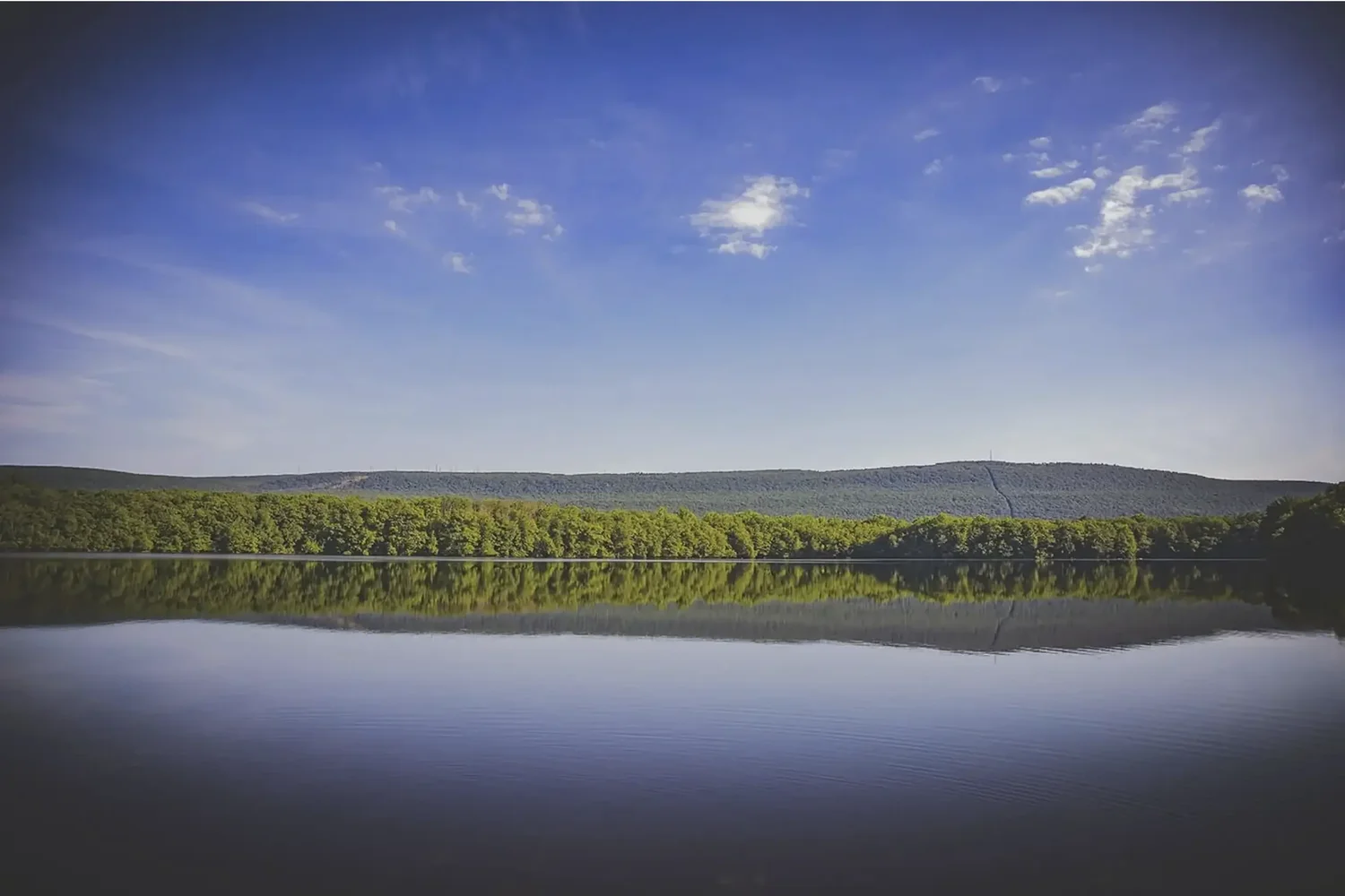 Wooded lake setting at Mountain Springs Lake Resort