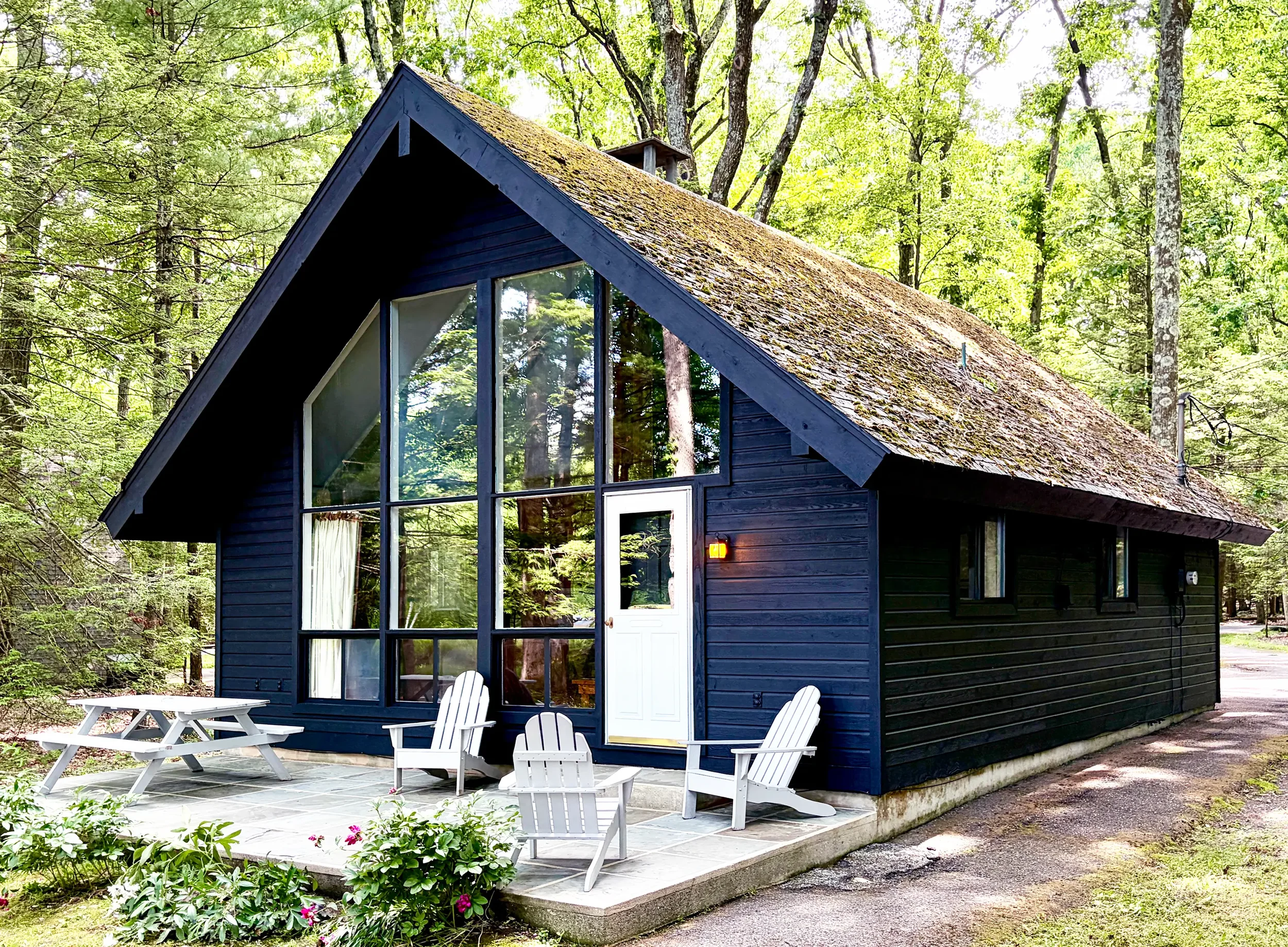 Lakeview Cabin 26 A-frame exterior in a wooded setting