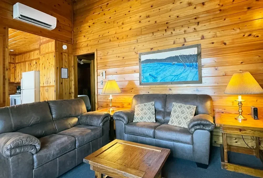 Living Room – Lakeview Cottage 41
