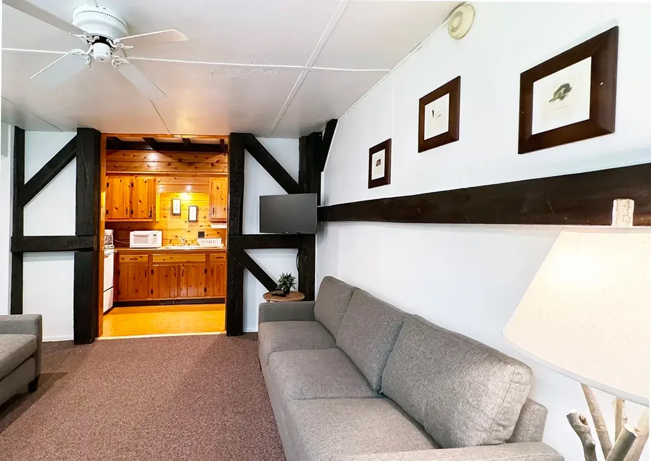 Living room with gray sofa, side table with plant, and wall-mounted TV, and a view into a small kitchen with wooden cabinets, microwave, and refrigerator.