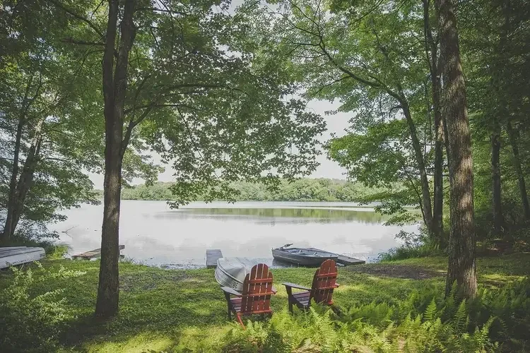 Two Adirondack chairs sit under the shade of tall trees, overlooking the lake with rowboats resting along the shoreline—a perfect spot for quiet relaxation.