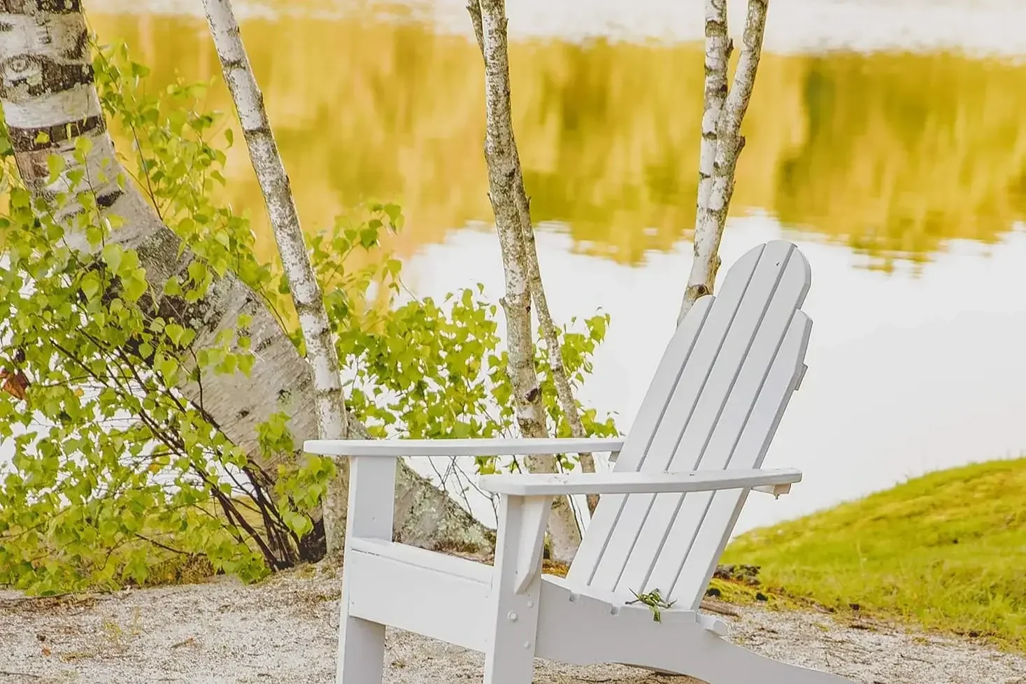 White Adirondack chair on sandy ground near a lake, with green trees and water in the background.