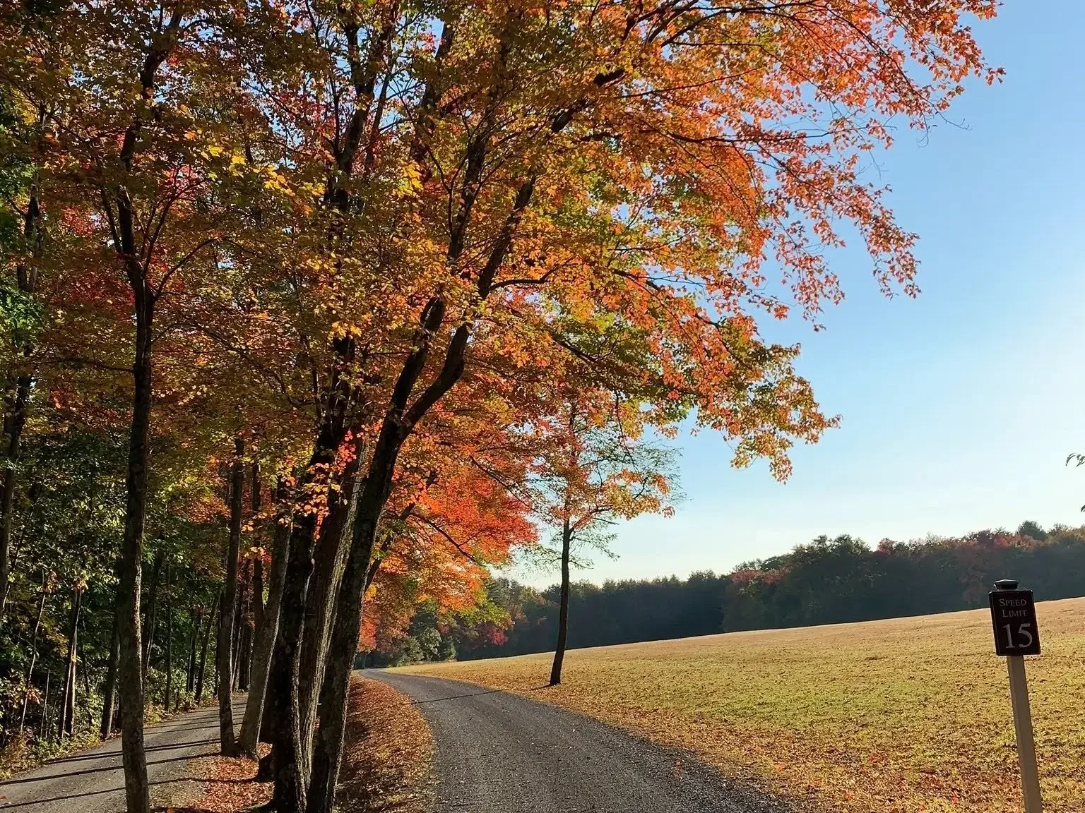A rural gravel road curves through a scenic landscape with trees showing autumn foliage in red, orange, and yellow. A speed limit sign indicates a limit of 15 miles per hour. The sky is clear and blue.