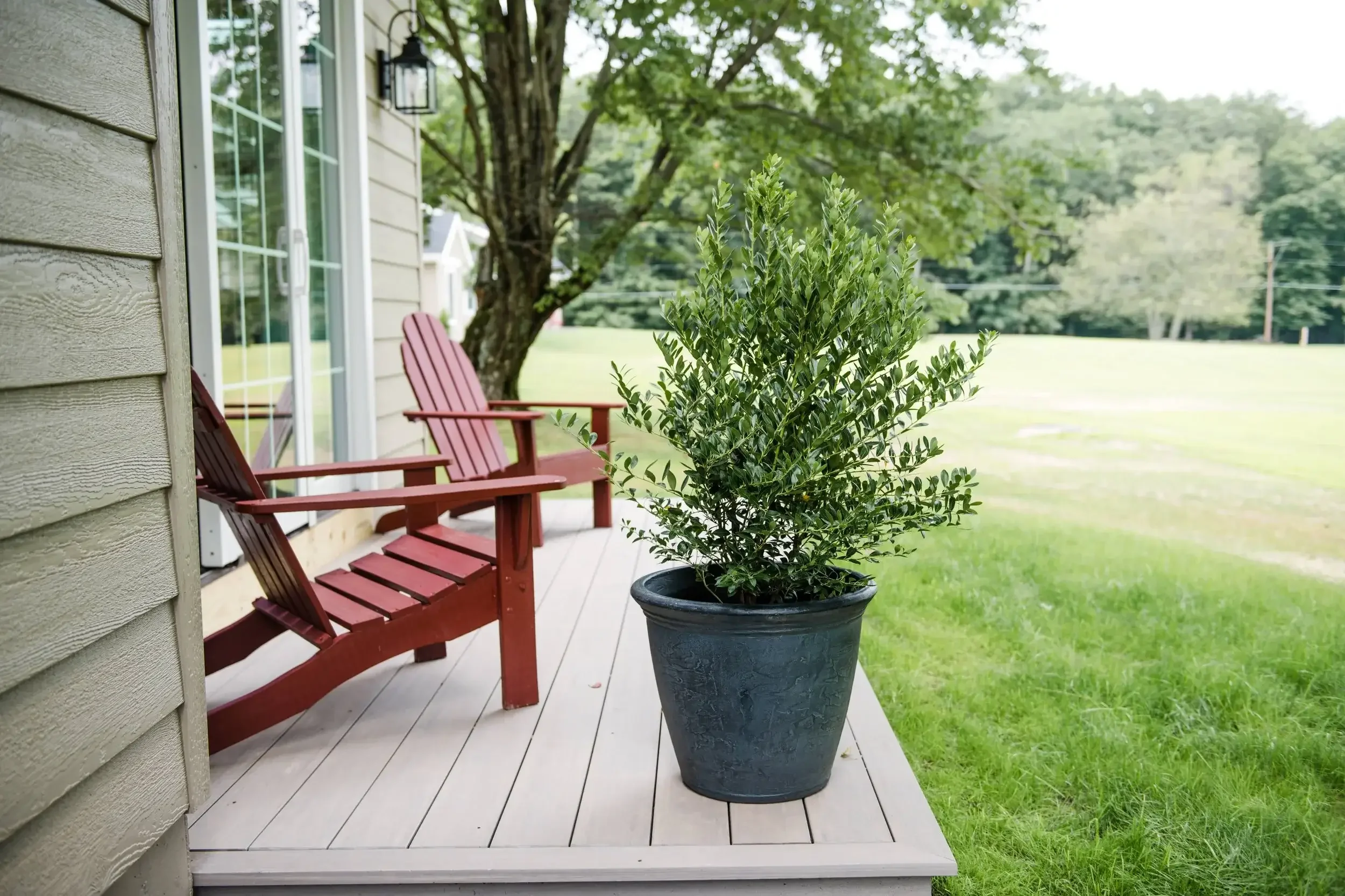 A porch with two red wooden chairs and a potted shrub in a gray container, overlooking a grassy yard with trees in the background.