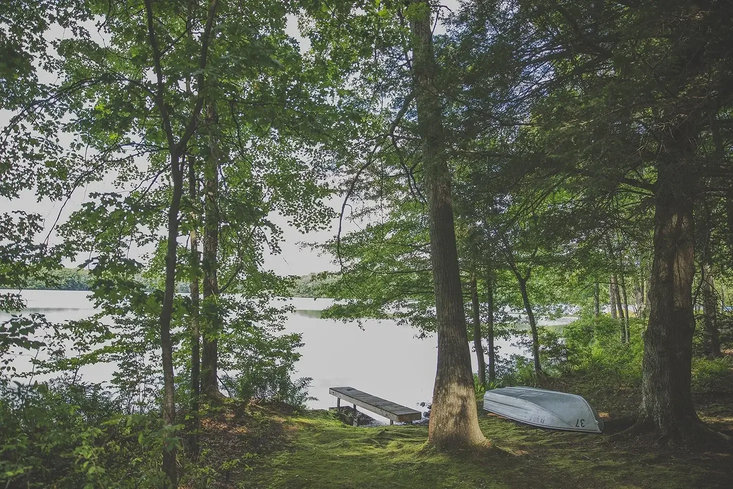 Small dock and rowboat along a wooded lakeshore, with tall trees framing the lake view