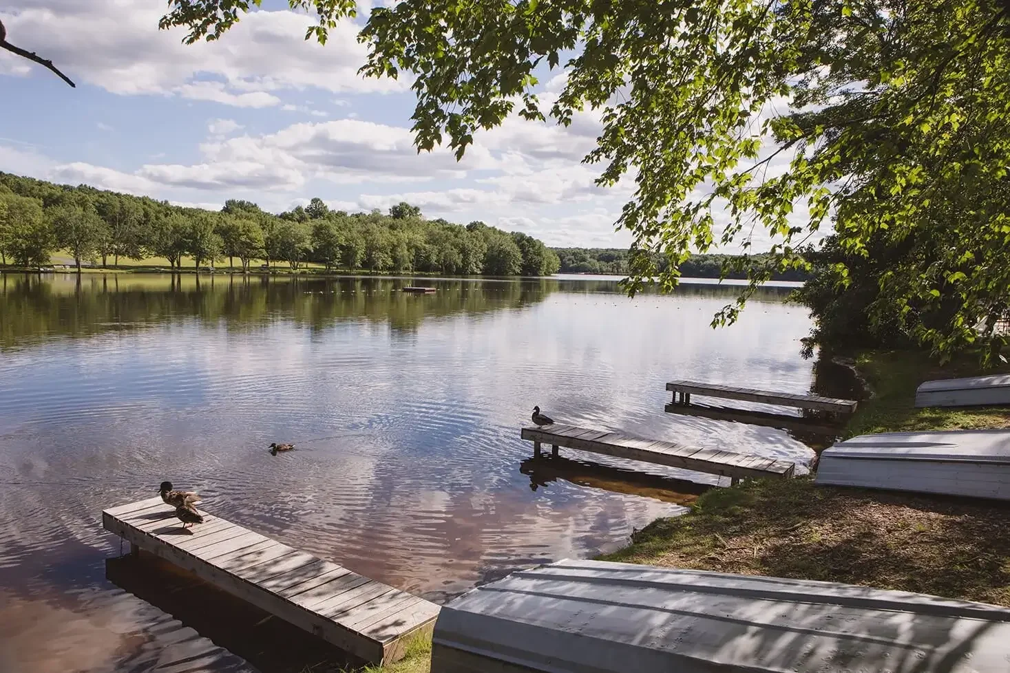 Mountain Springs Lake with docks and rowboats along the wooded shoreline
