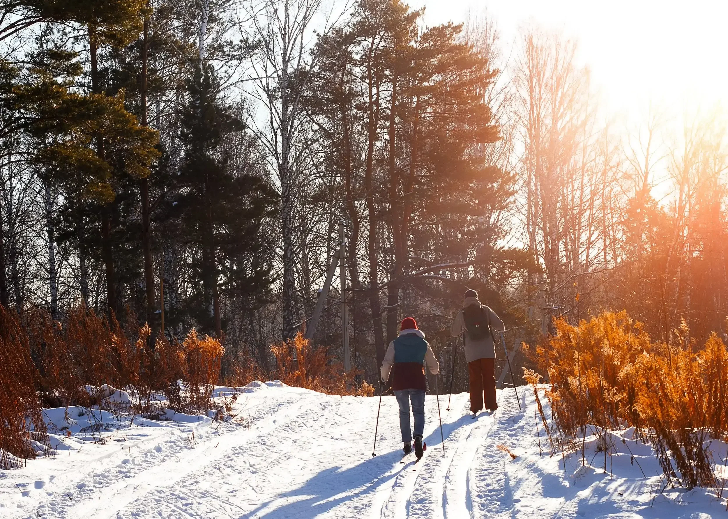 Guests walking snowy trails at Mountain Springs Lake Resort during winter