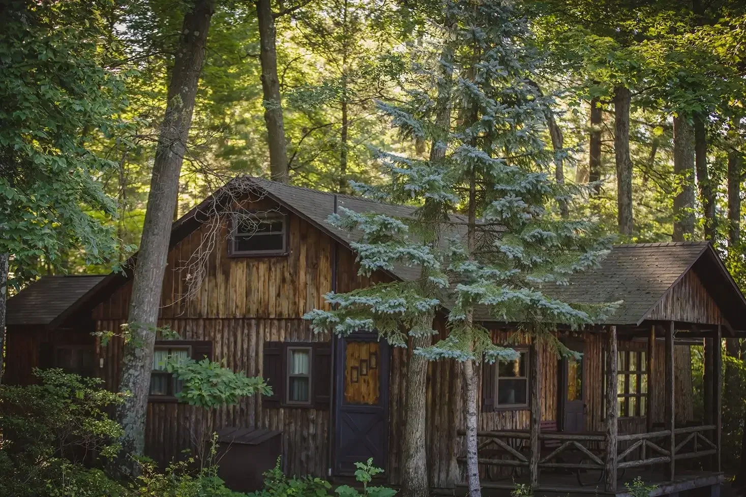 A wooden cabin surrounded by tall trees in a forested area.