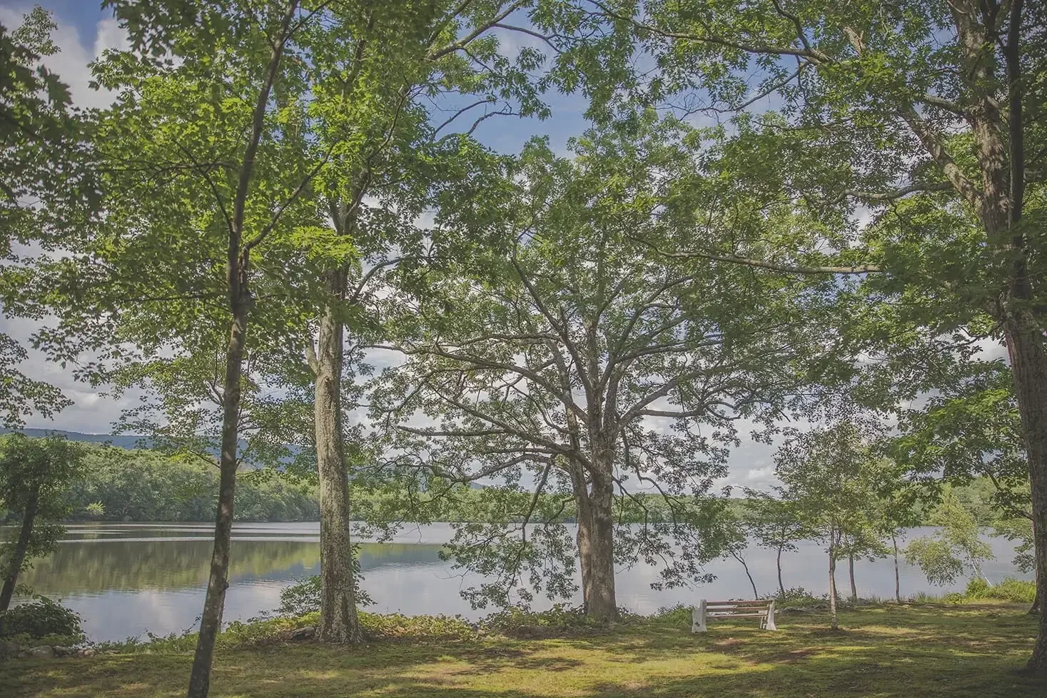 Scenic view of lakeside park with trees, a bench, and a calm body of water under a partly cloudy sky.