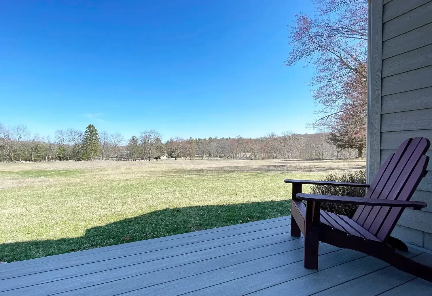 Luxury Hill Suite 11 Field View