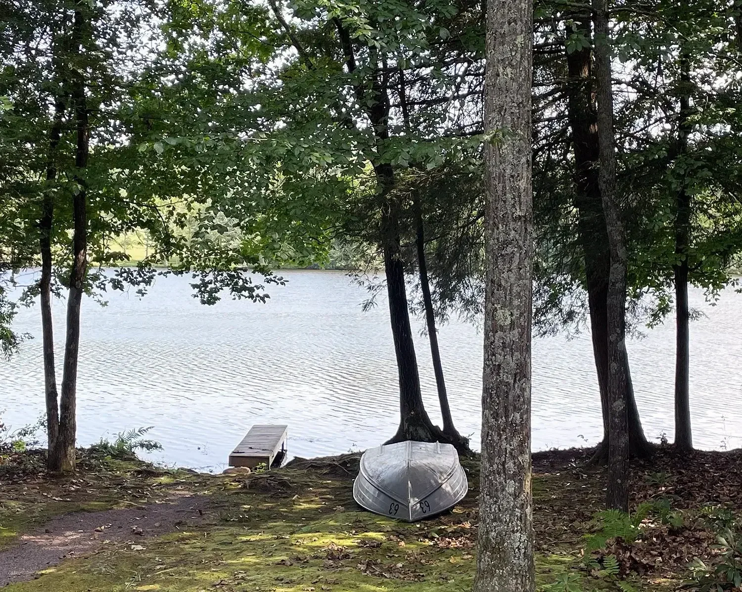 Hemlock Cabin #63 – Private Boat Dock and Lake Access