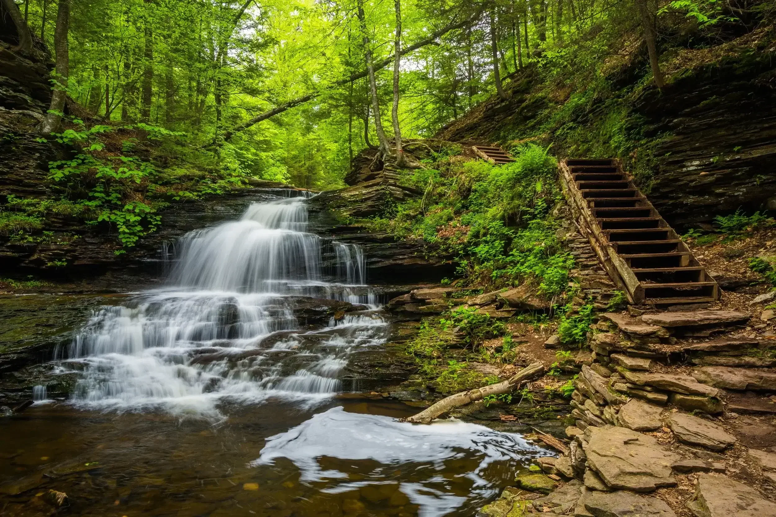 A small waterfall flowing over rocks in a green forest with trees, a mossy hillside, and a wooden staircase leading up the hill.