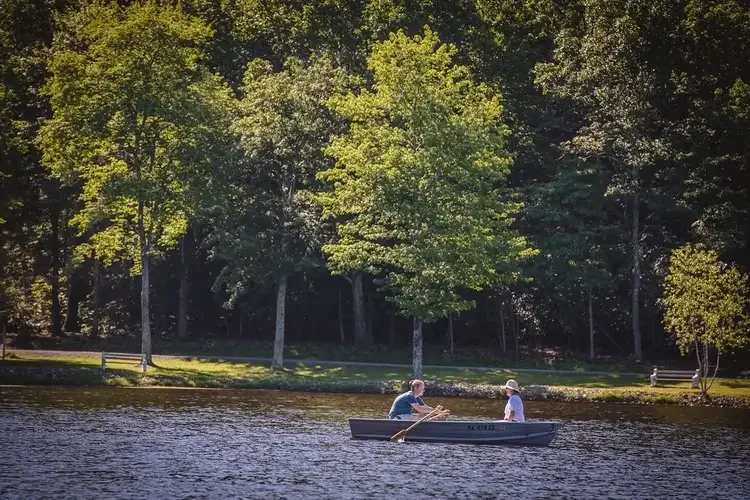 A peaceful moment on the lake, with two people enjoying a rowboat ride surrounded by calm waters and a backdrop of tall, sunlit trees.