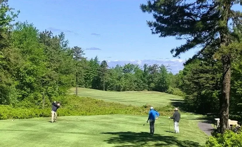 Three people playing golf on a lush green golf course, surrounded by trees and a partly cloudy sky.