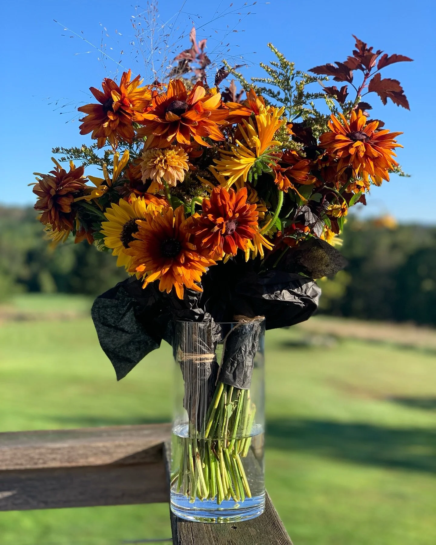 We&rsquo;ll be back with bouquets at @blackwalnutcatskills today 
9:30am-12noon 
#flowerfarm #locallygrownflowers #cutflowers #farmerflorist  #flowers #garden #catskills #freshflowers