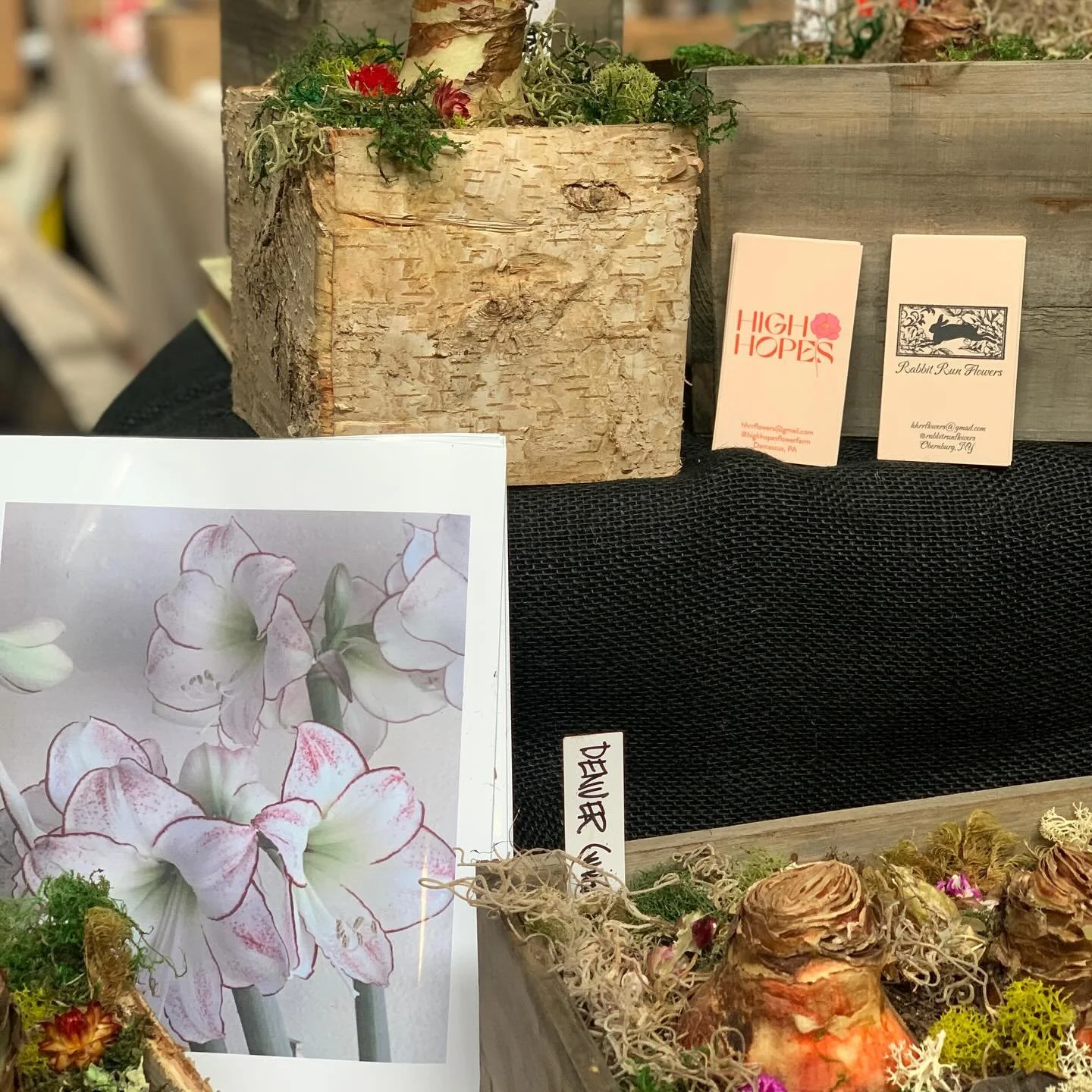 Standing tall above all winter blooms, amaryllis symbolize strength and determination. 

A lovely way to enter the holiday season and new year. 

Find us this weekend @thefarmhouseproject  Holiday Makers Market in Callicoon