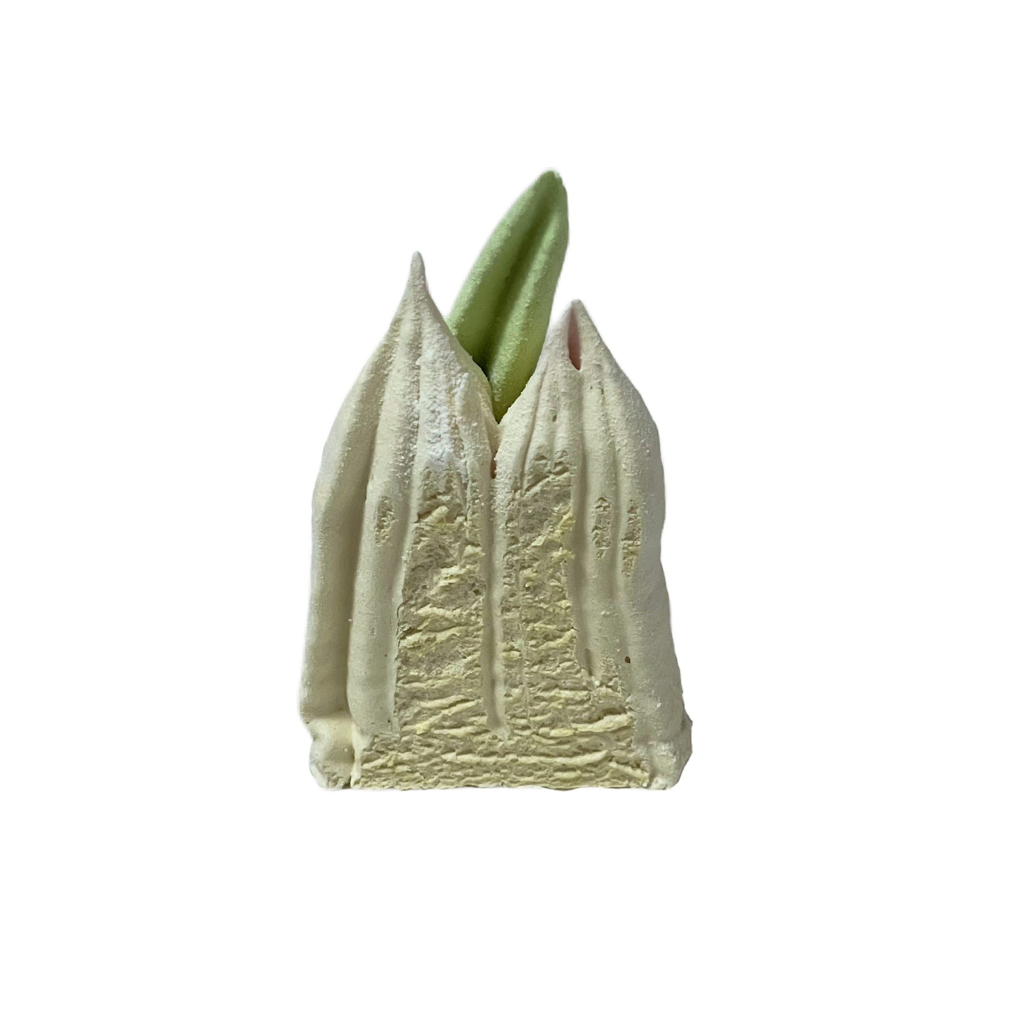 Ice cream cone with white chocolate coating and green topping