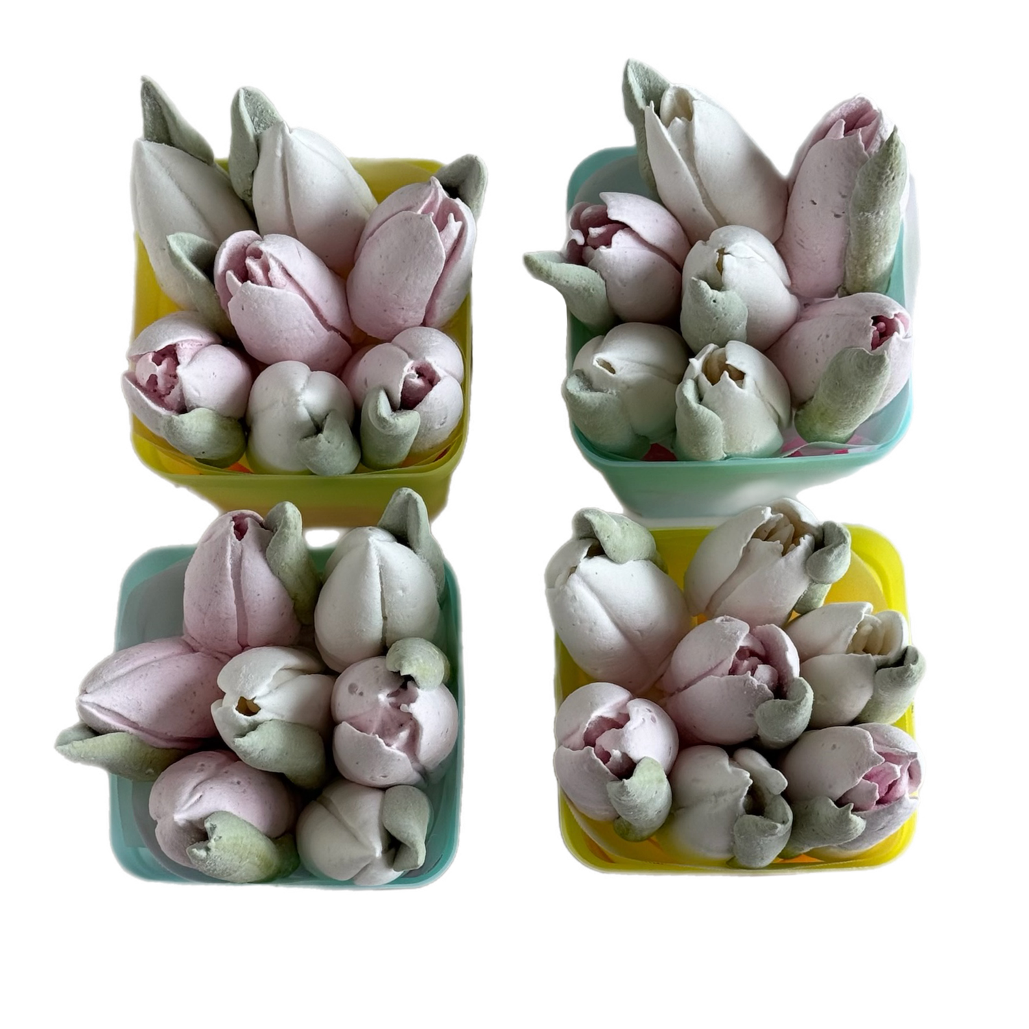 Megan Zefir Tulips Gift Pots — BOUQEDIBLES