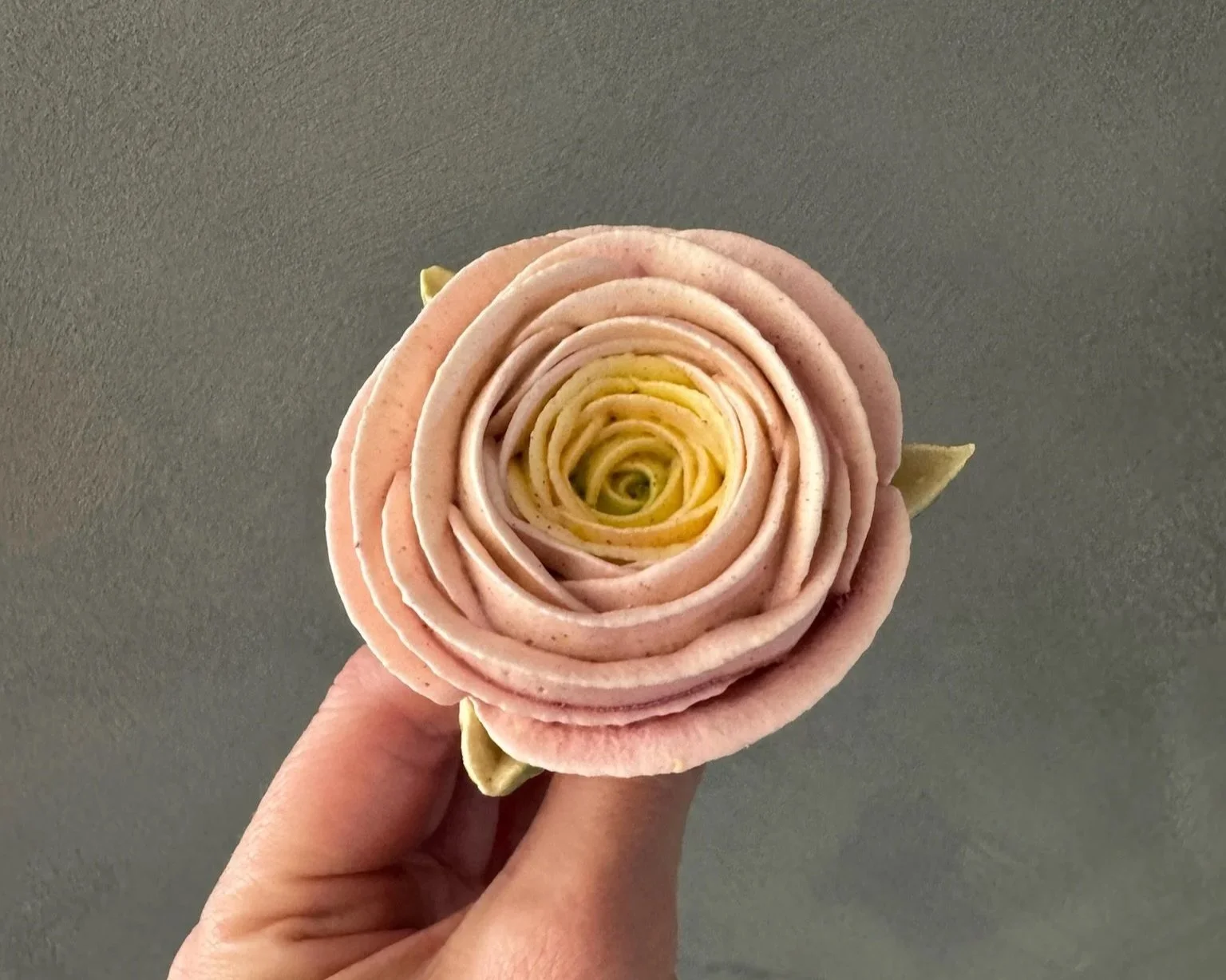 zefir ranunculus