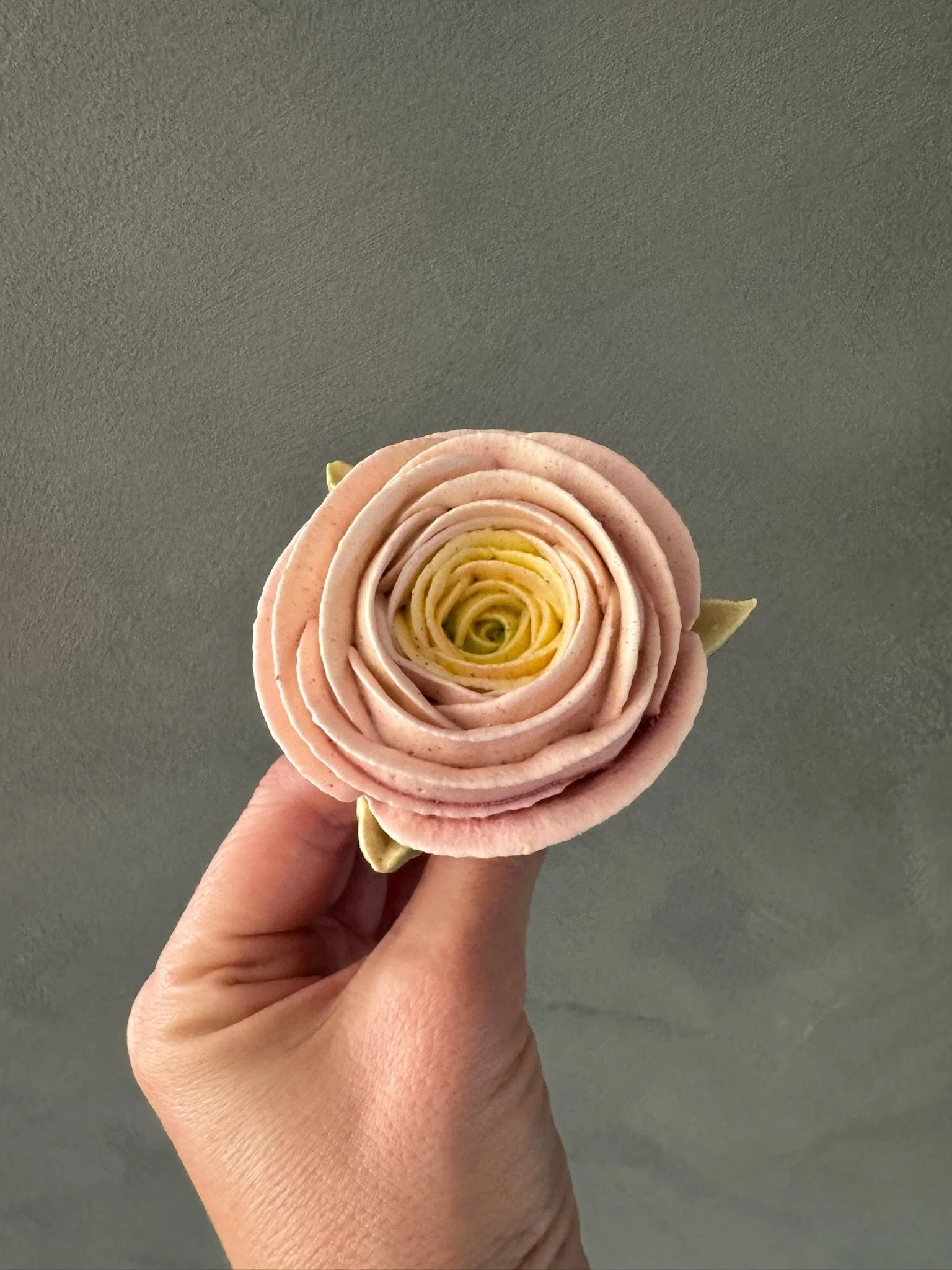 zefir ranunculus