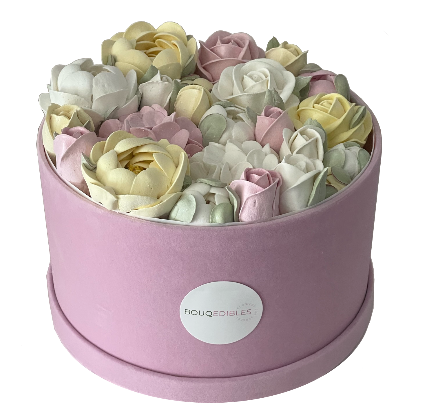 Ana Box Front 1.3.png
