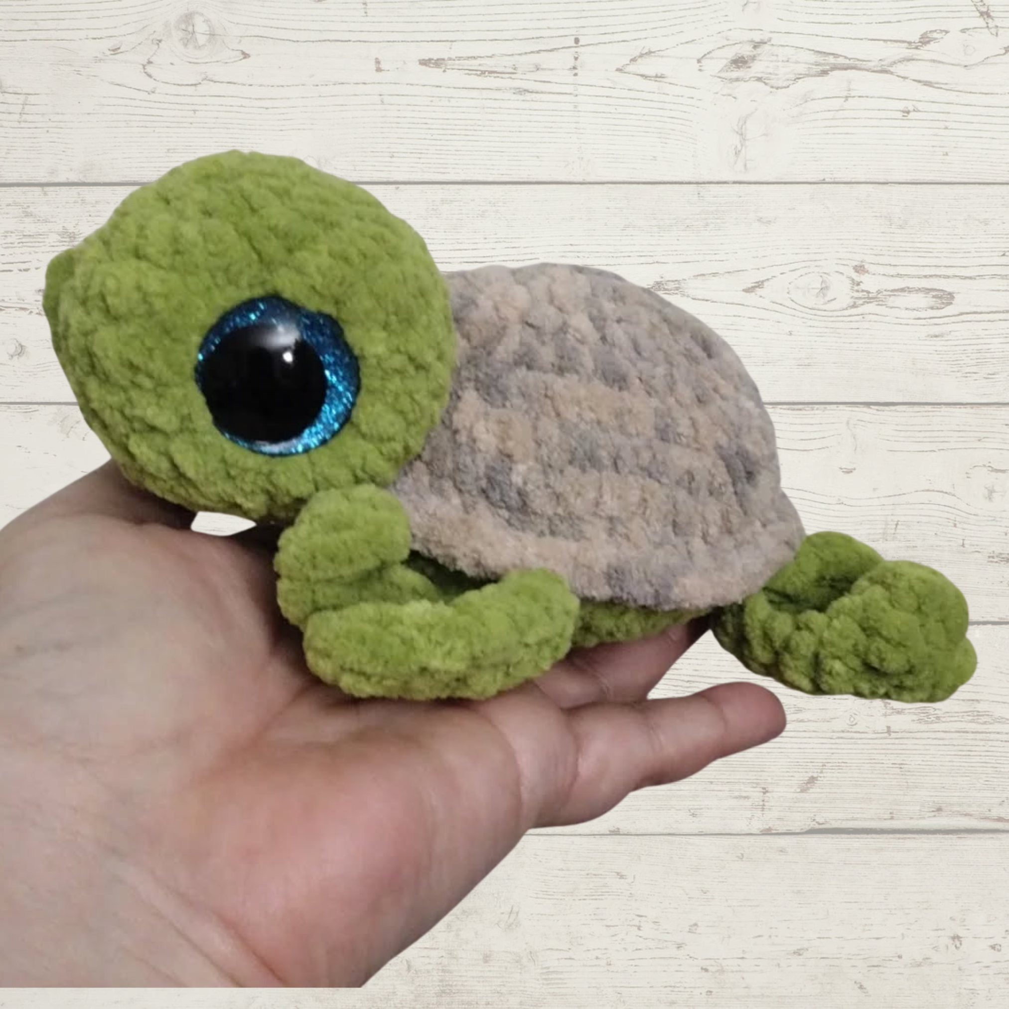 Titus the Sea Turtle