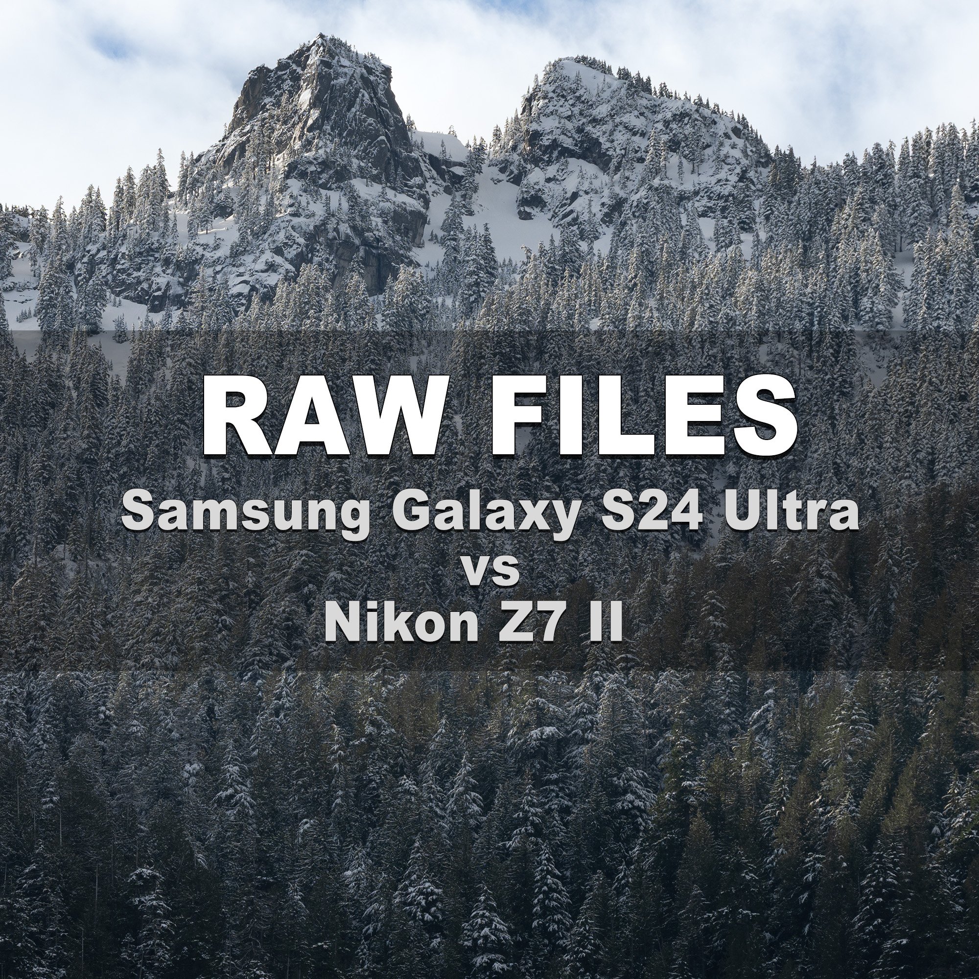 RAW Files (Samsung Galaxy S24 Ultra vs Nikon Z7 II)